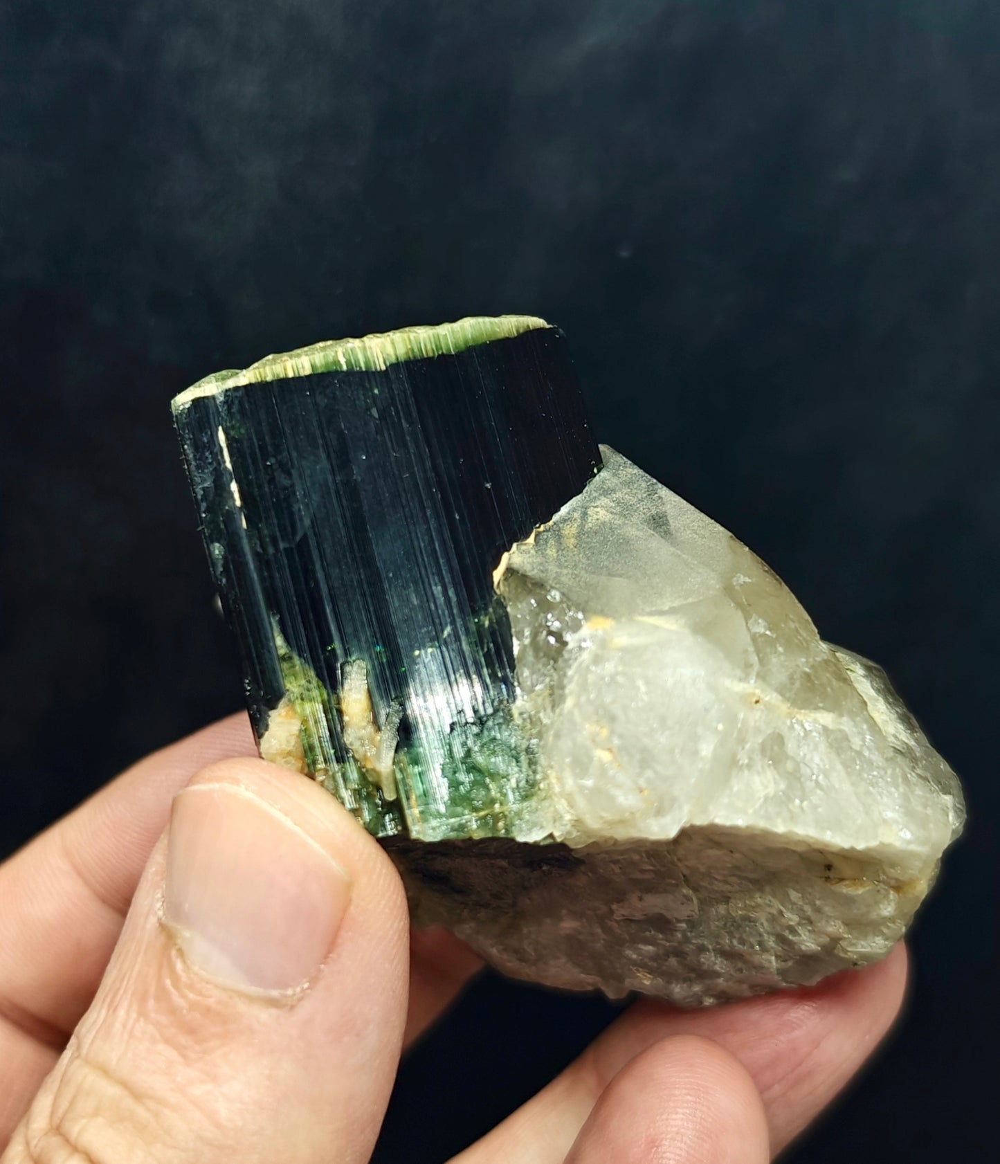 Natural greencap black/green Tourmaline crystal with smoky quartz 212 grams