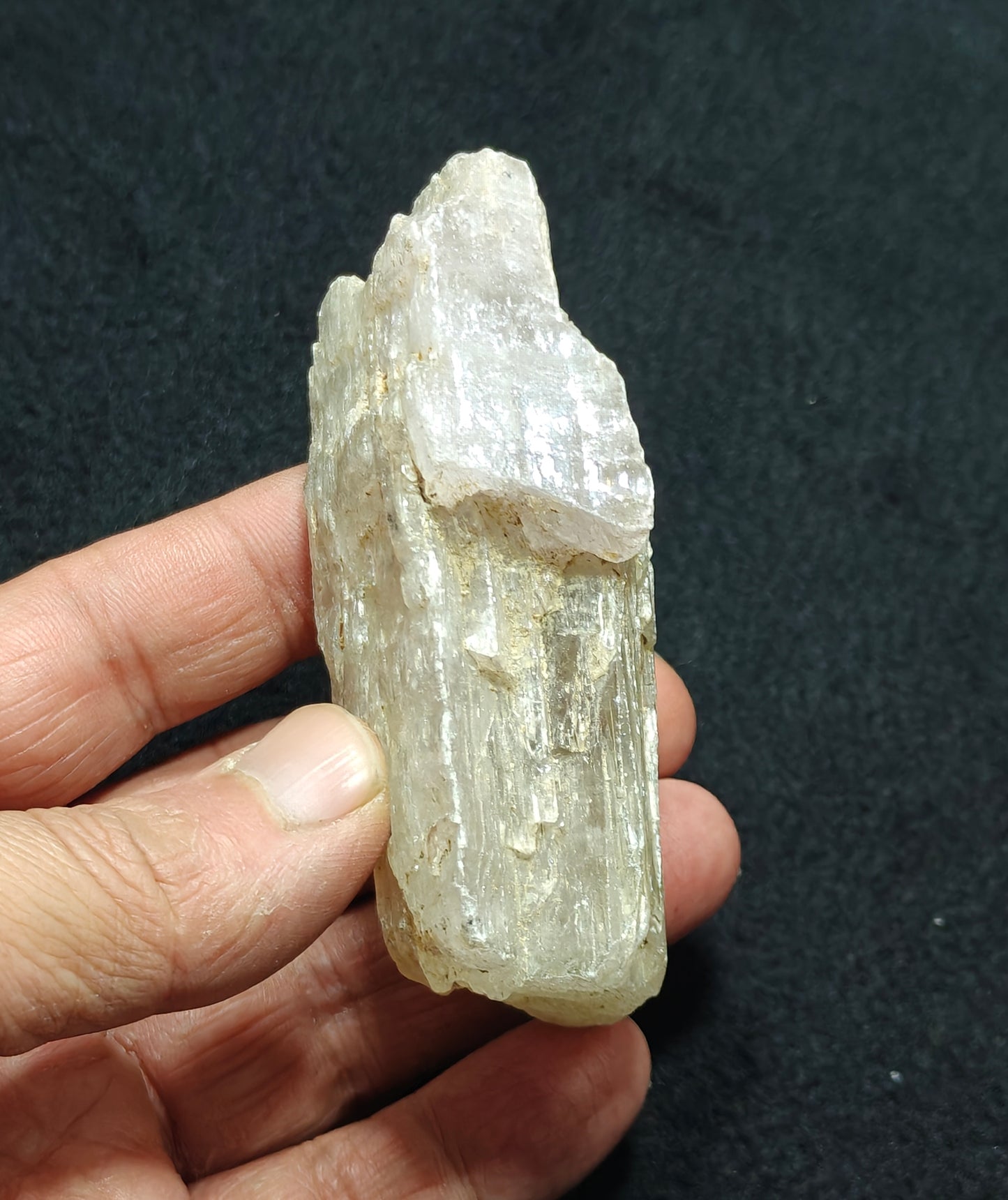 An amazing specimen of Bicolor terminated spodumene crystal 157 grams