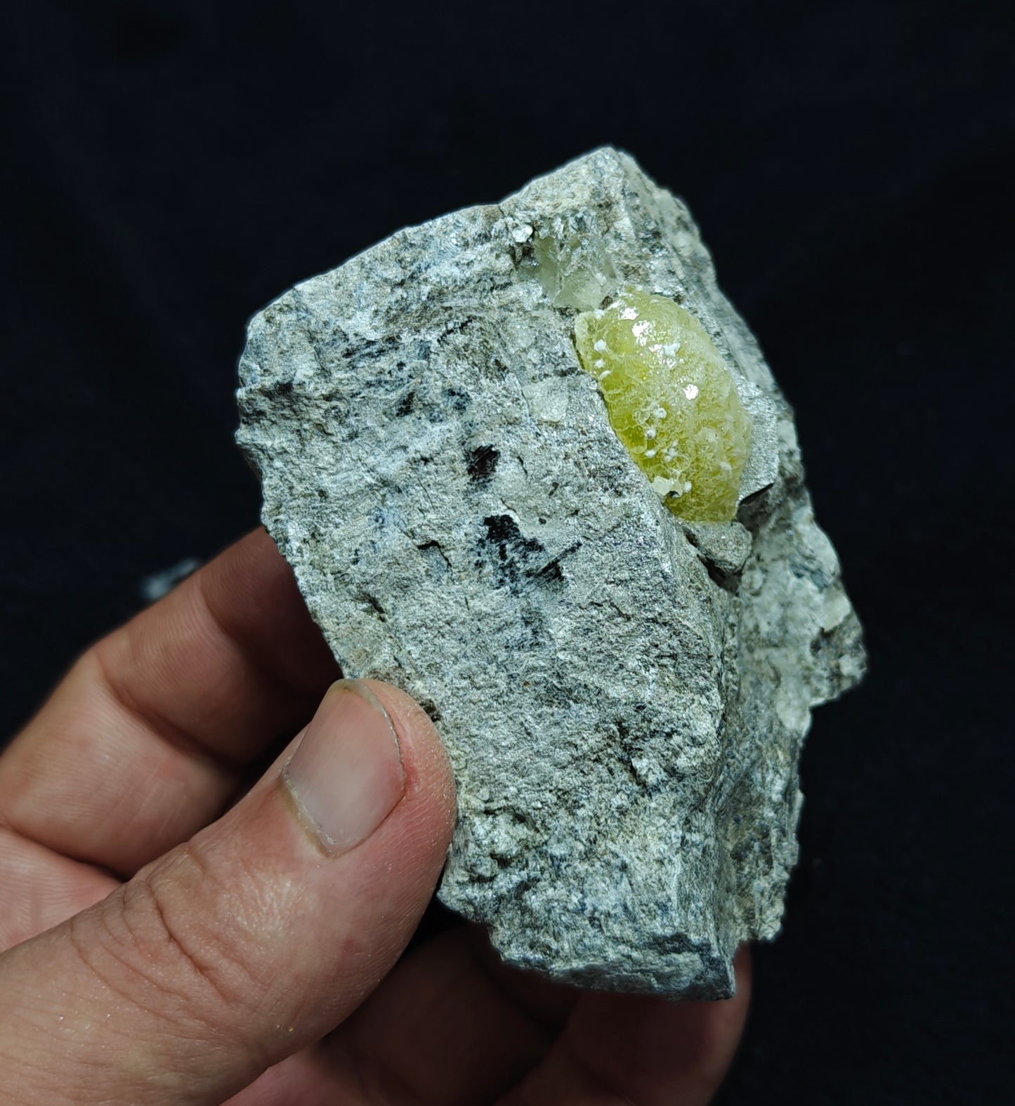 Natural yellow Brucite on matrix 194 grams