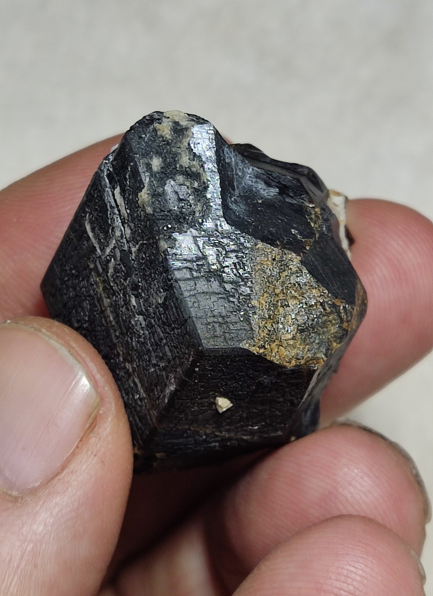 Garnet variety andradite crystal  specimen 37 grams