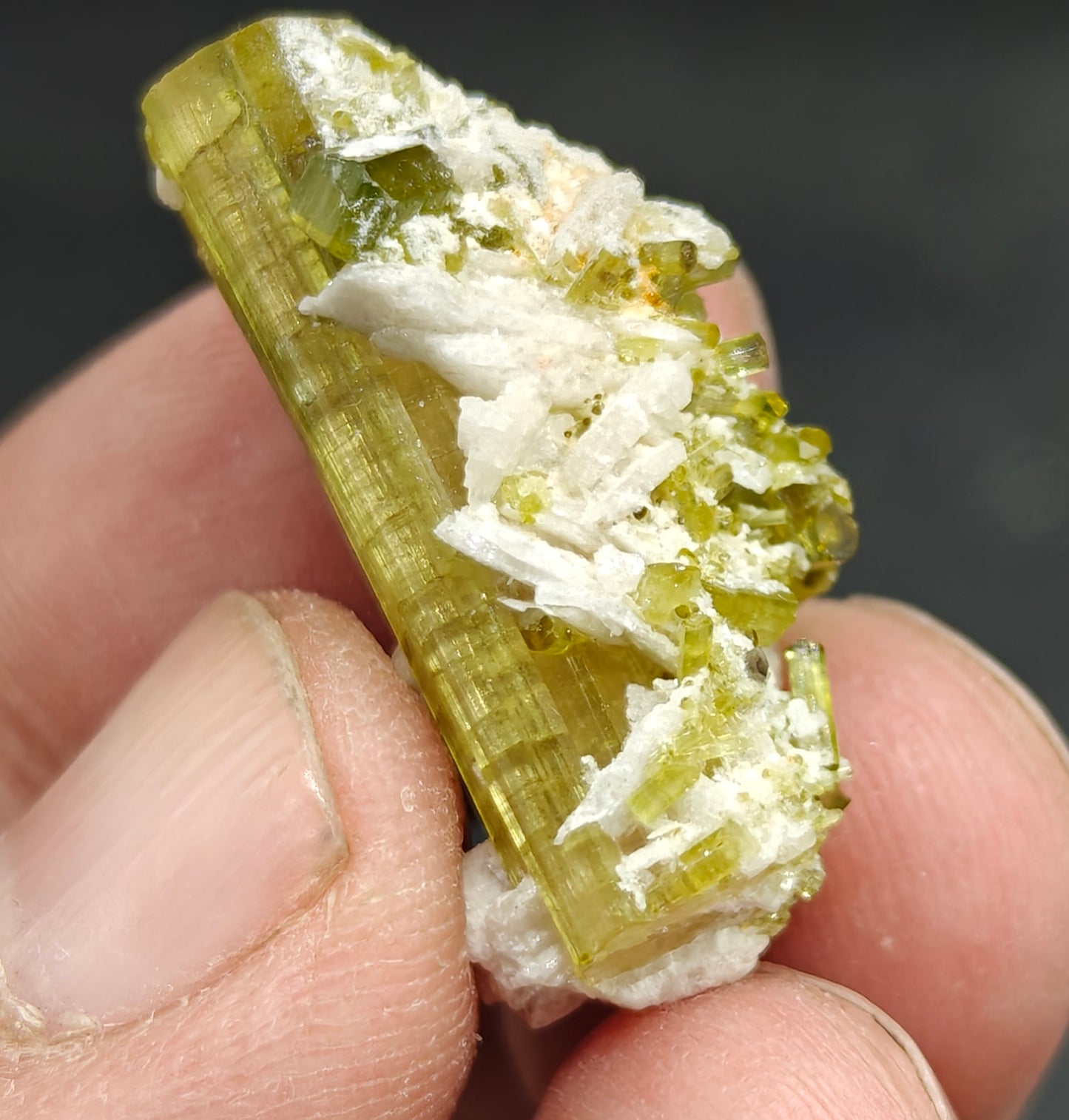 Small aesthetic green tourmaline specimen 33 carats