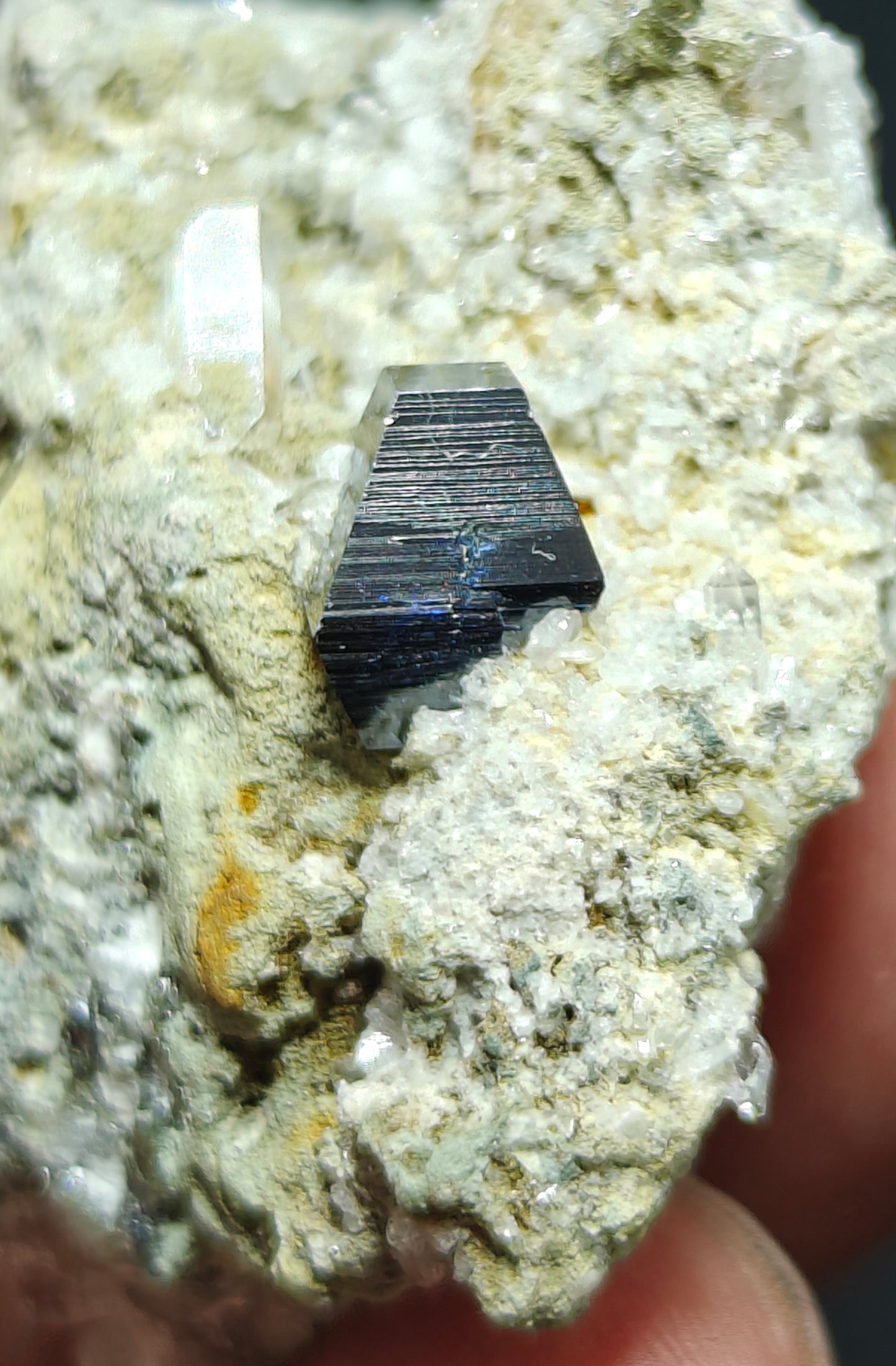 Anatase Crystal with chlorite quartz on matrix 29 grams