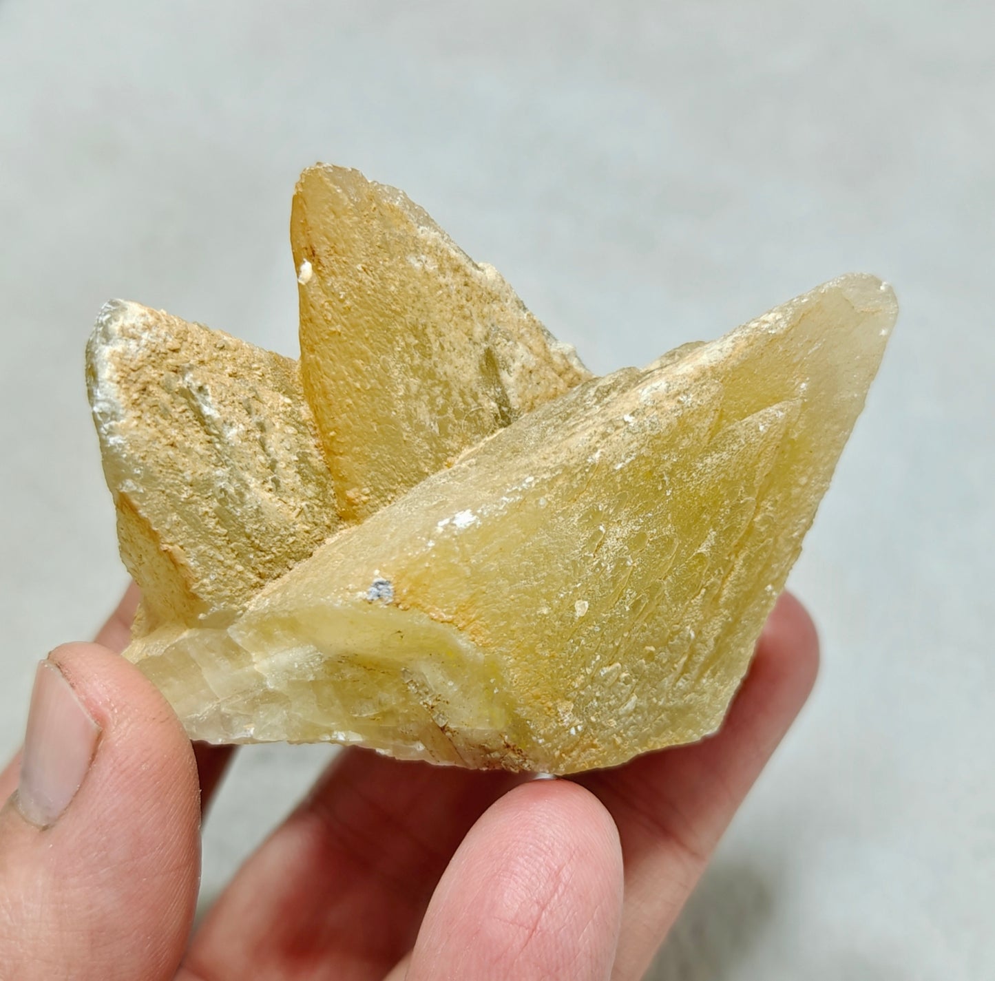Single beautiful Dogteeth calcite crystals cluster with beautiful terminations 154 grams