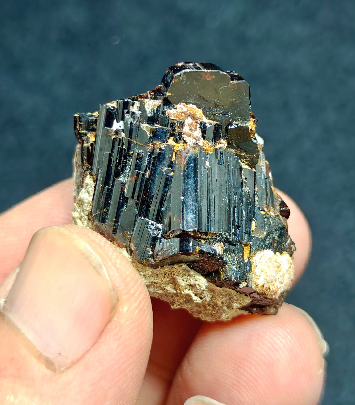 Natural dark brown Vesuvianite crystal on matrix 25 grams