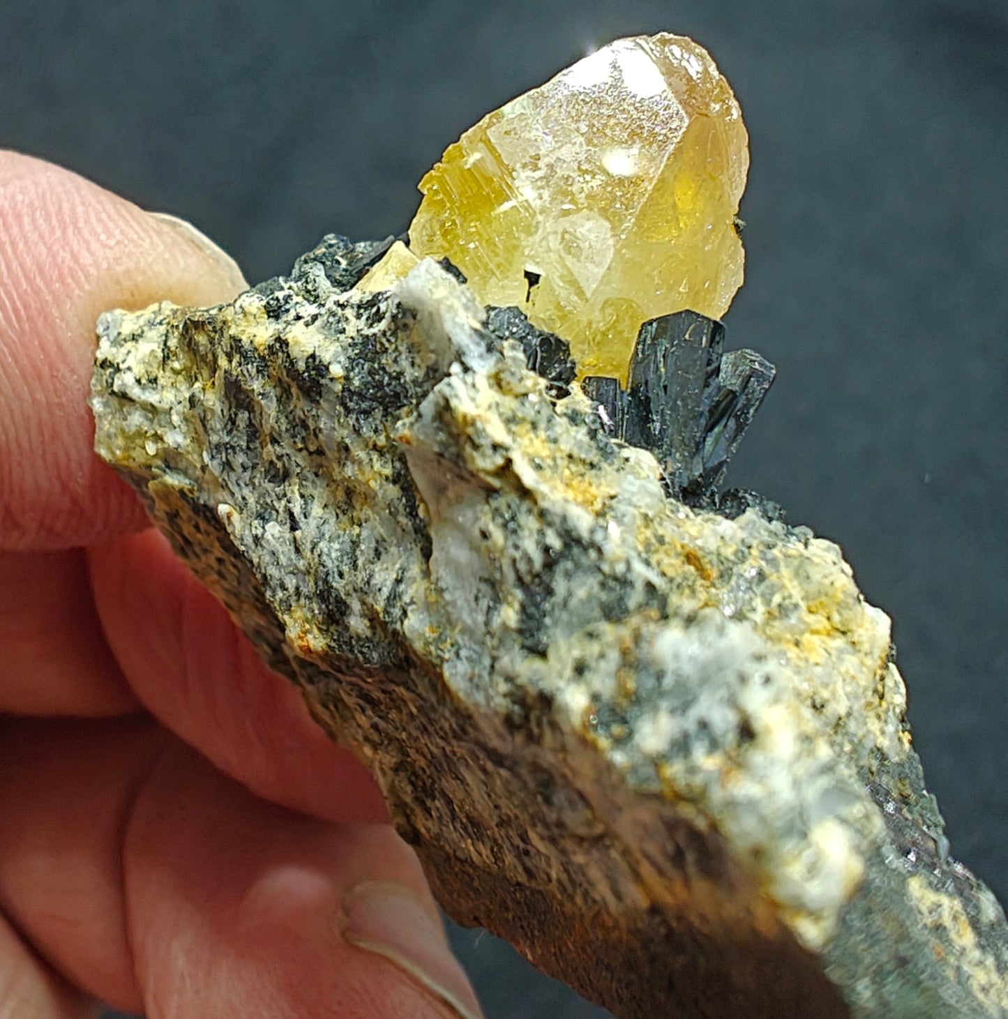 Titanite sphene with actinolite or aegirine on matrix 21g