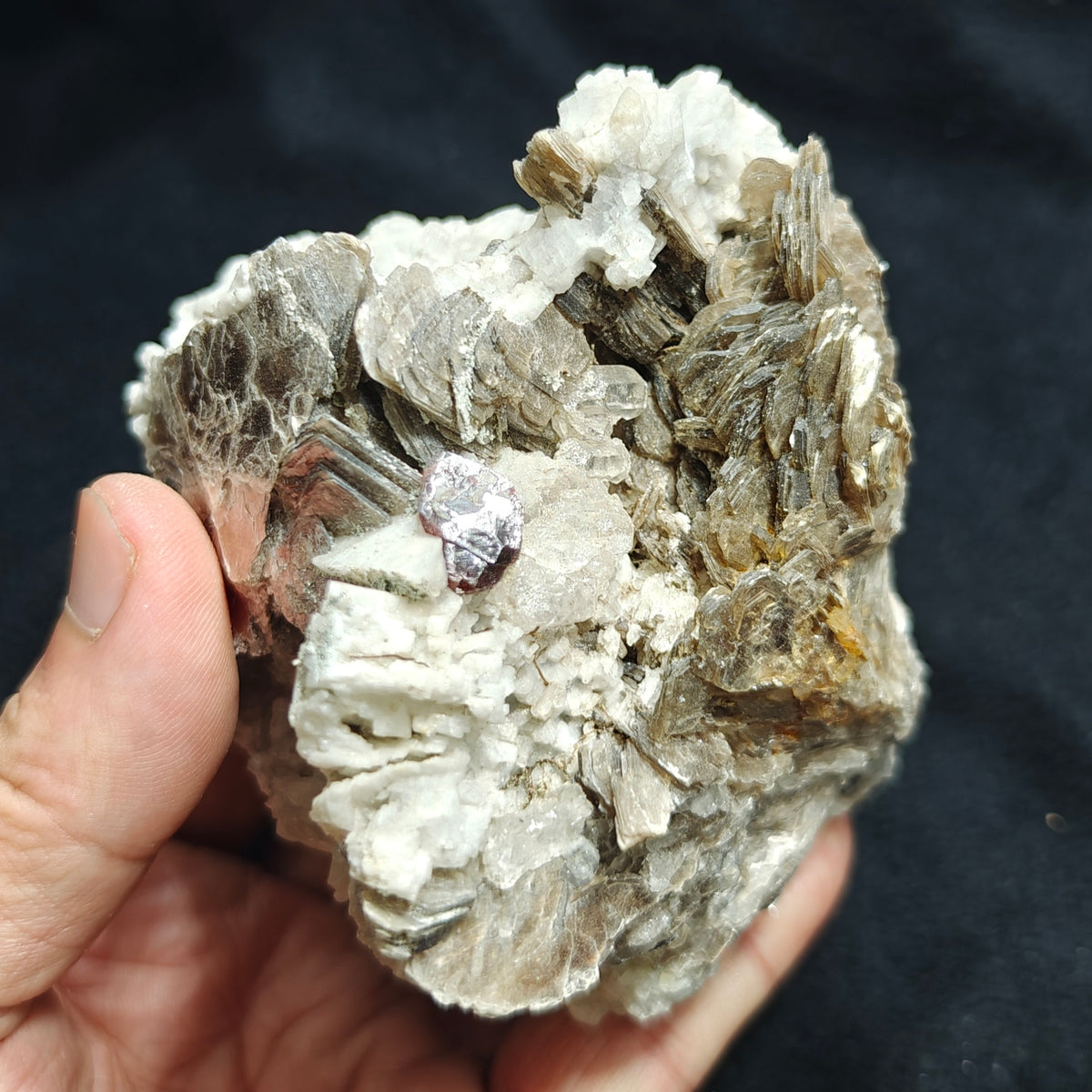 Natural spessartine garnet embedded in muscovite, with albite and quartz 544 grams