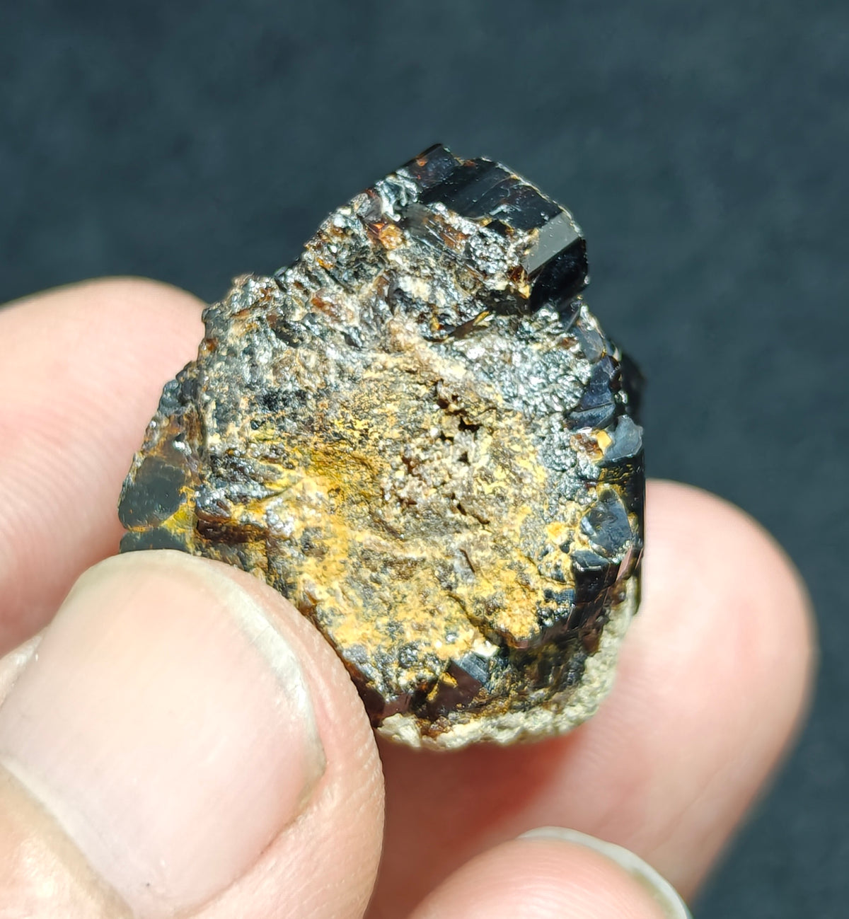 Natural dark brown Vesuvianite crystal on matrix 25 grams