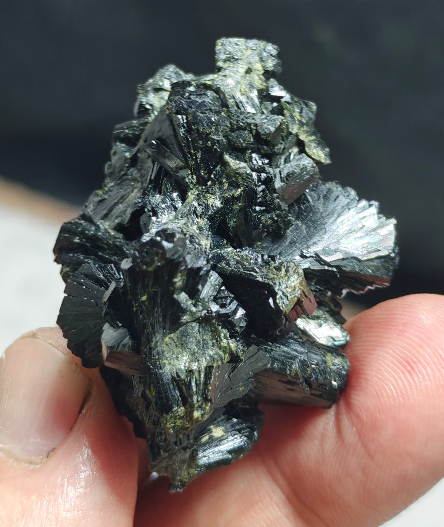 Bowtie Epidote 42 grams
