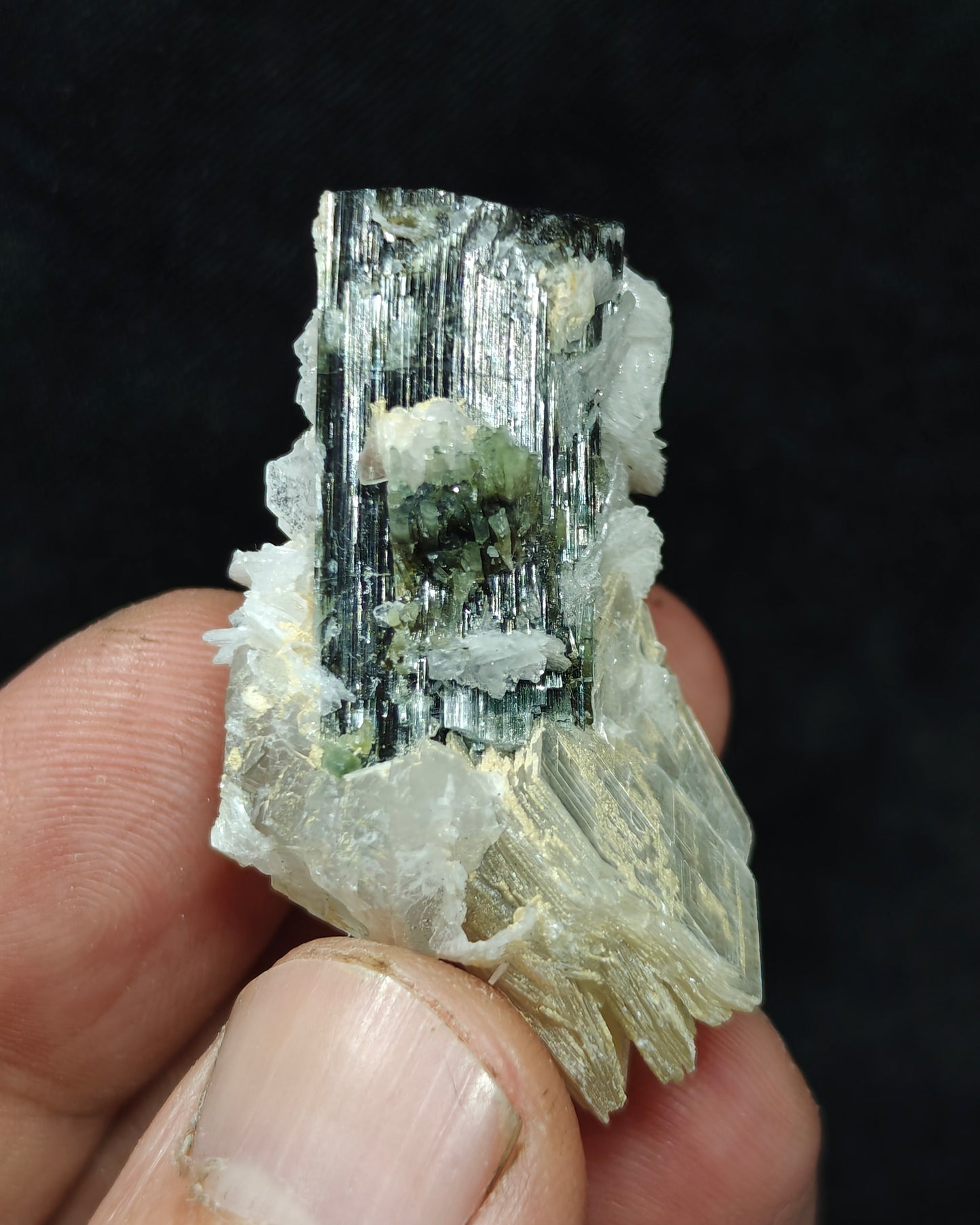 Natural dark green color Tourmaline crystal with associated cleavelandite, muscovite and a small quartz 24grams