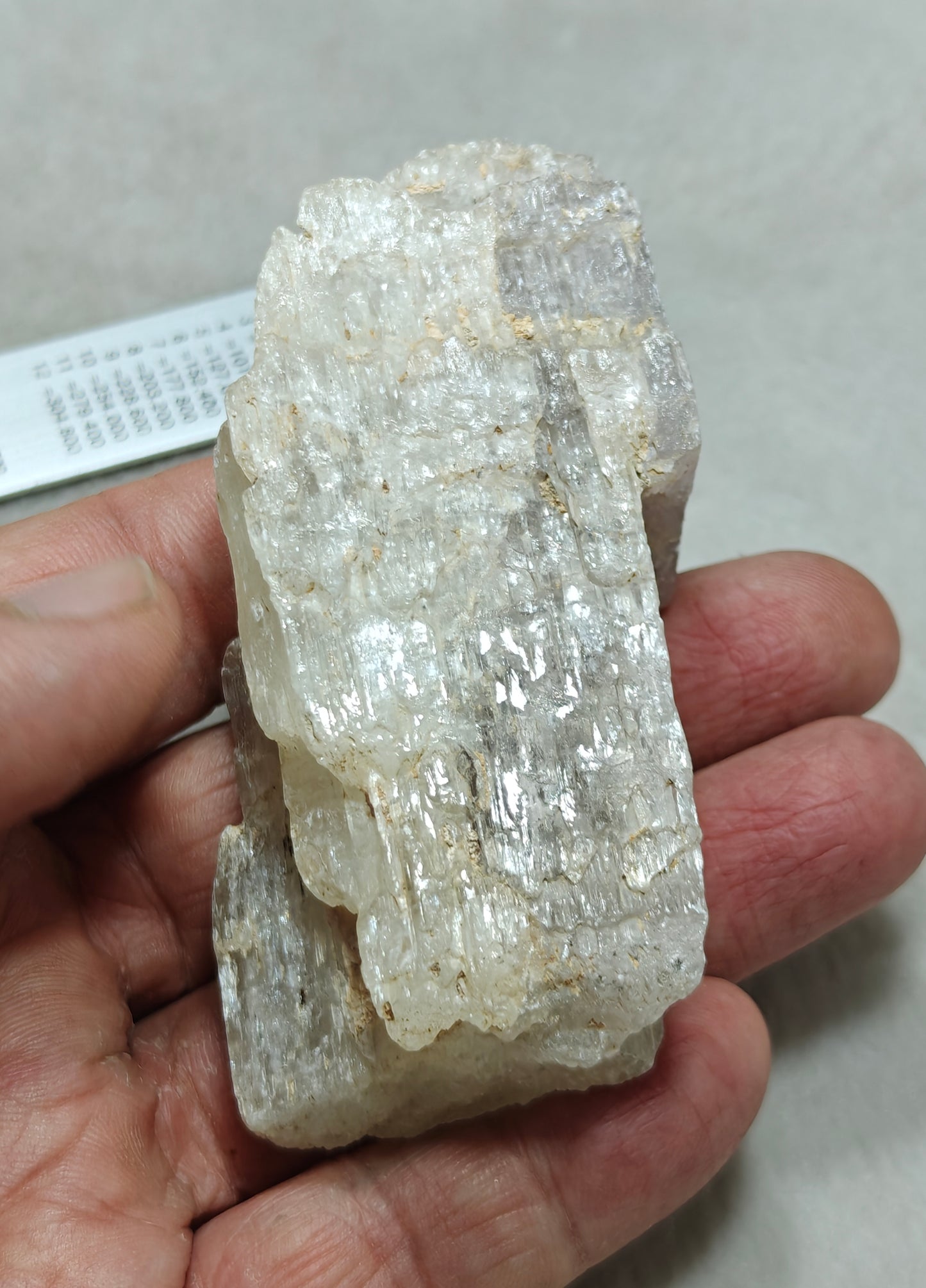 An amazing specimen of Bicolor terminated spodumene crystal 157 grams