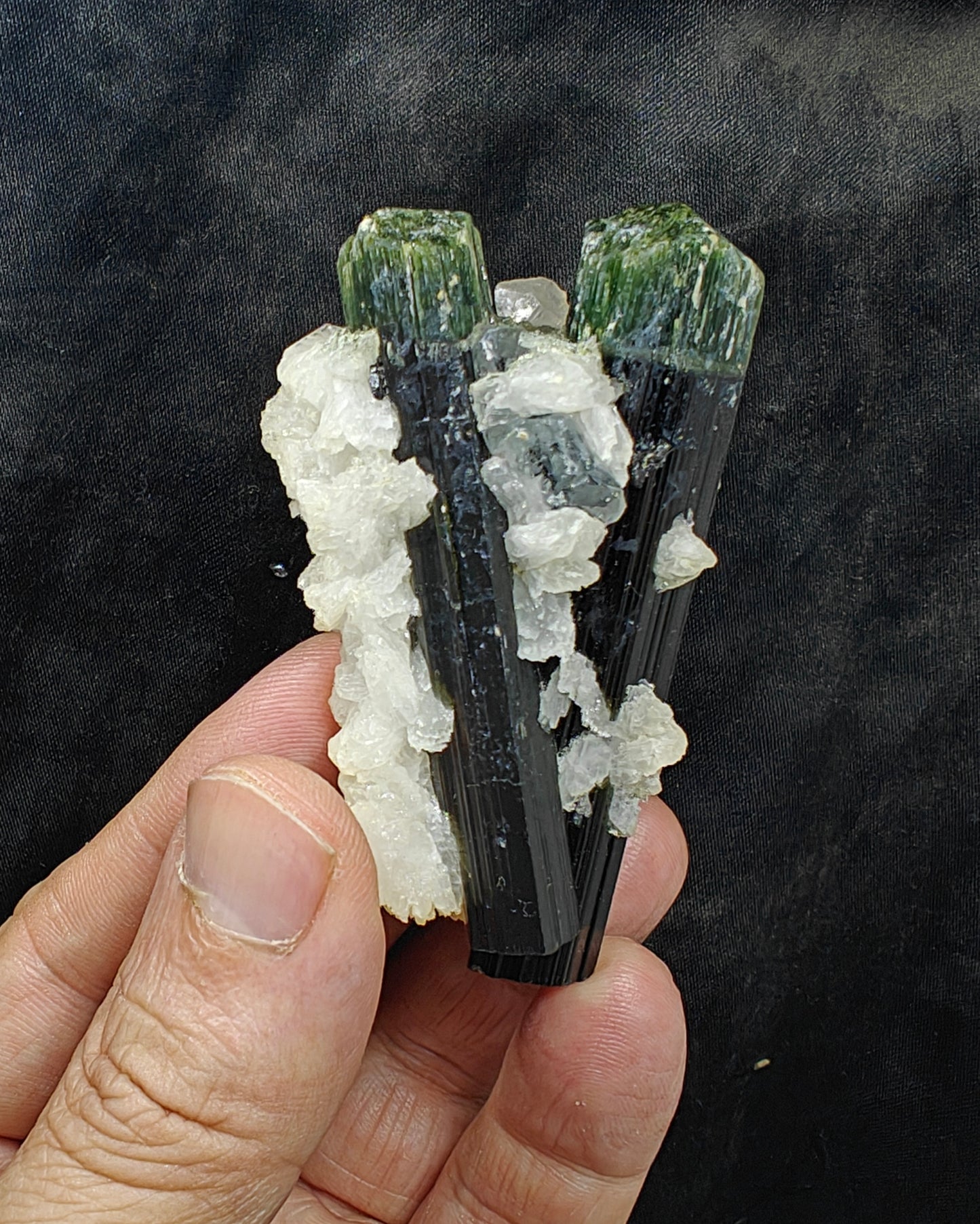 Perfectly terminated specimen of green cap Tourmalines crystals with associated albite 94 grams