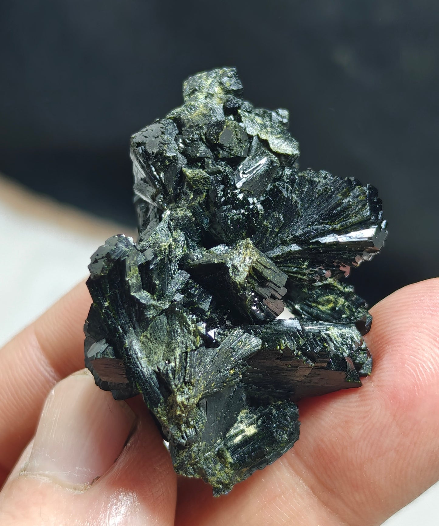 Bowtie Epidote 42 grams