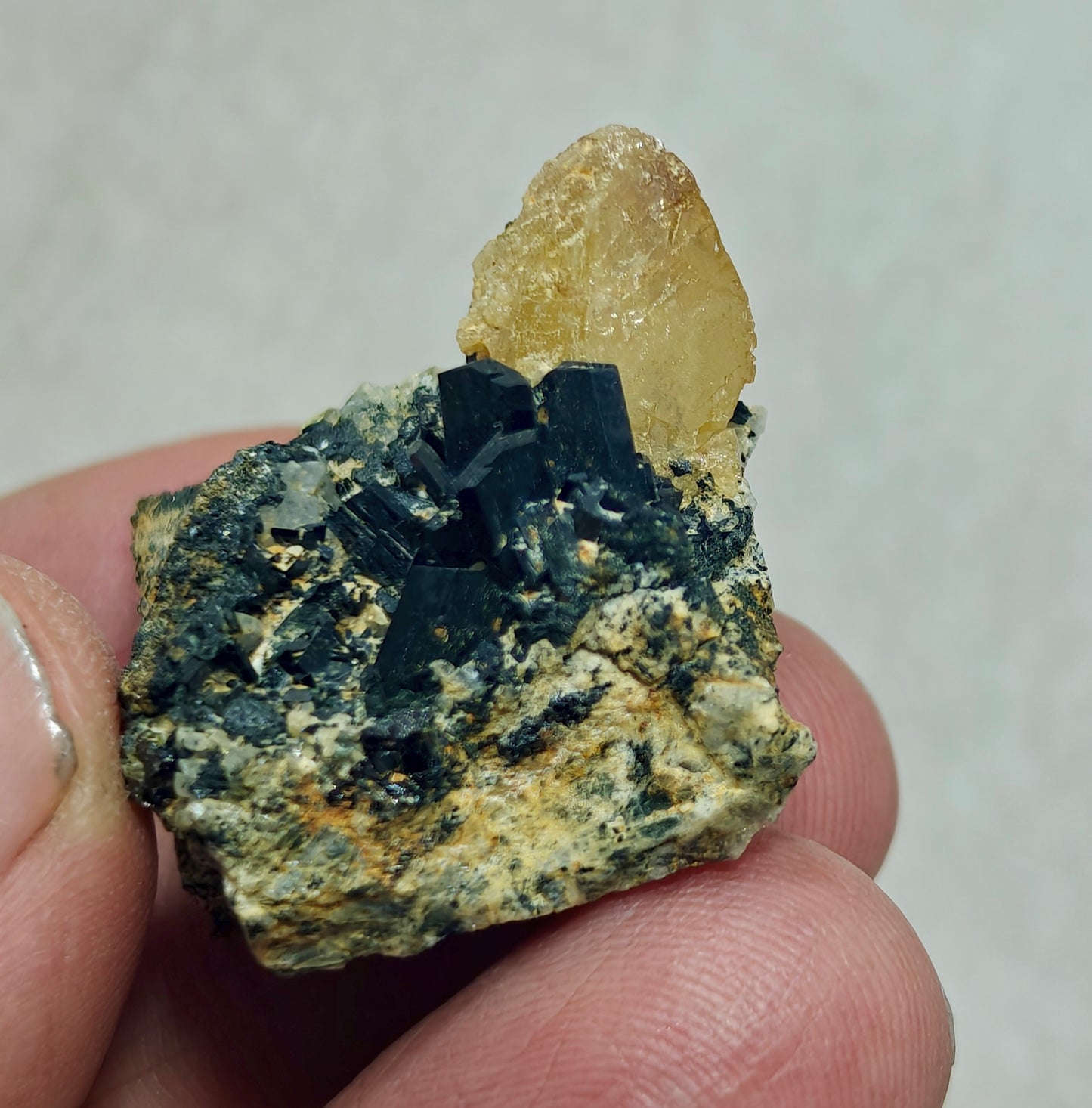 Titanite sphene with actinolite or aegirine on matrix 21g