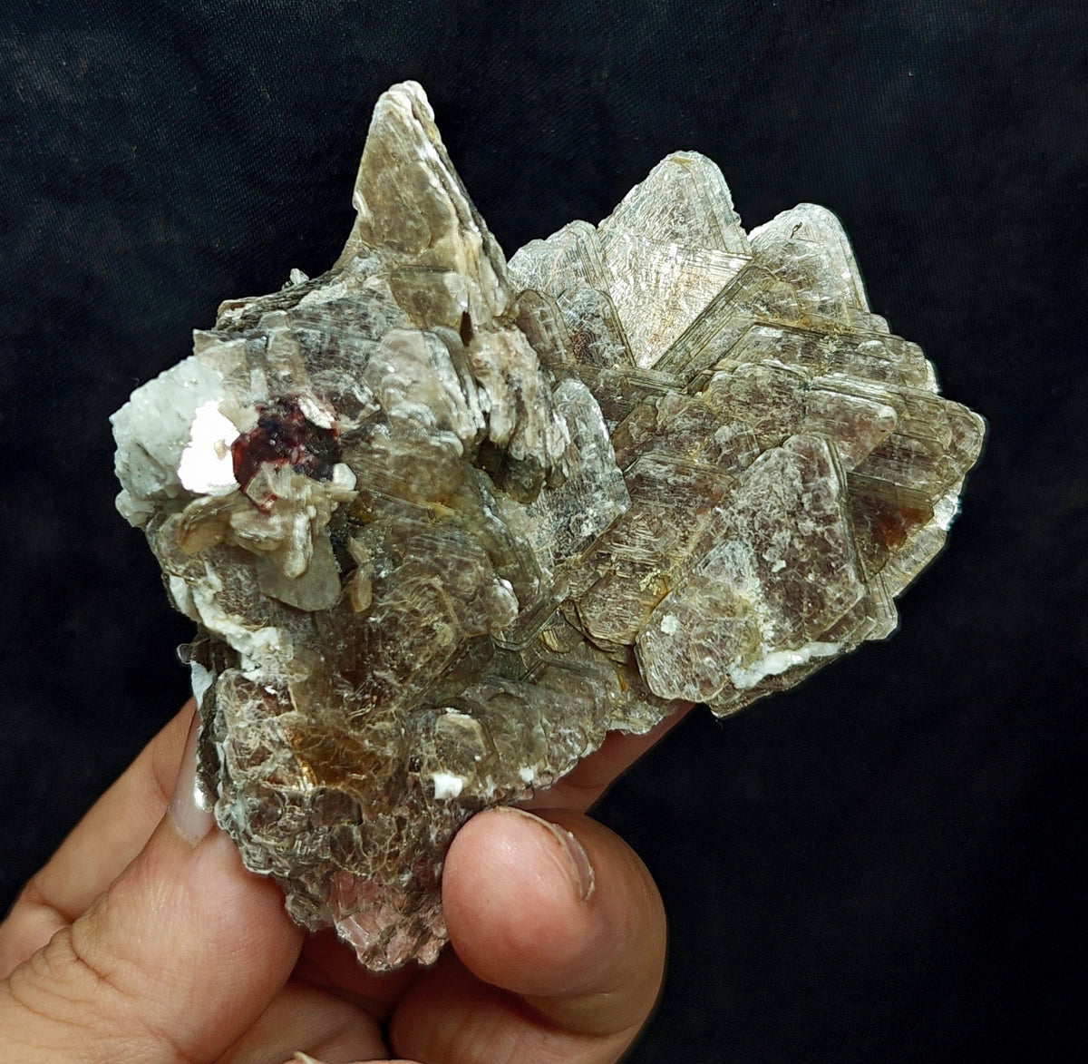 Natural spessartine garnet embedded in muscovite with albite 152 grams