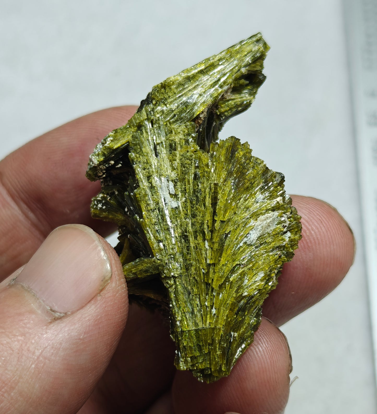 Natural Epidote cluster spray 35 grams