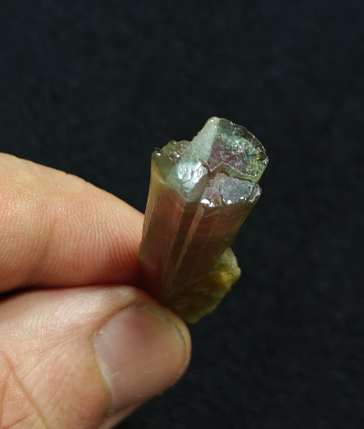 Natural watermelon Tourmaline crystal 45 carats