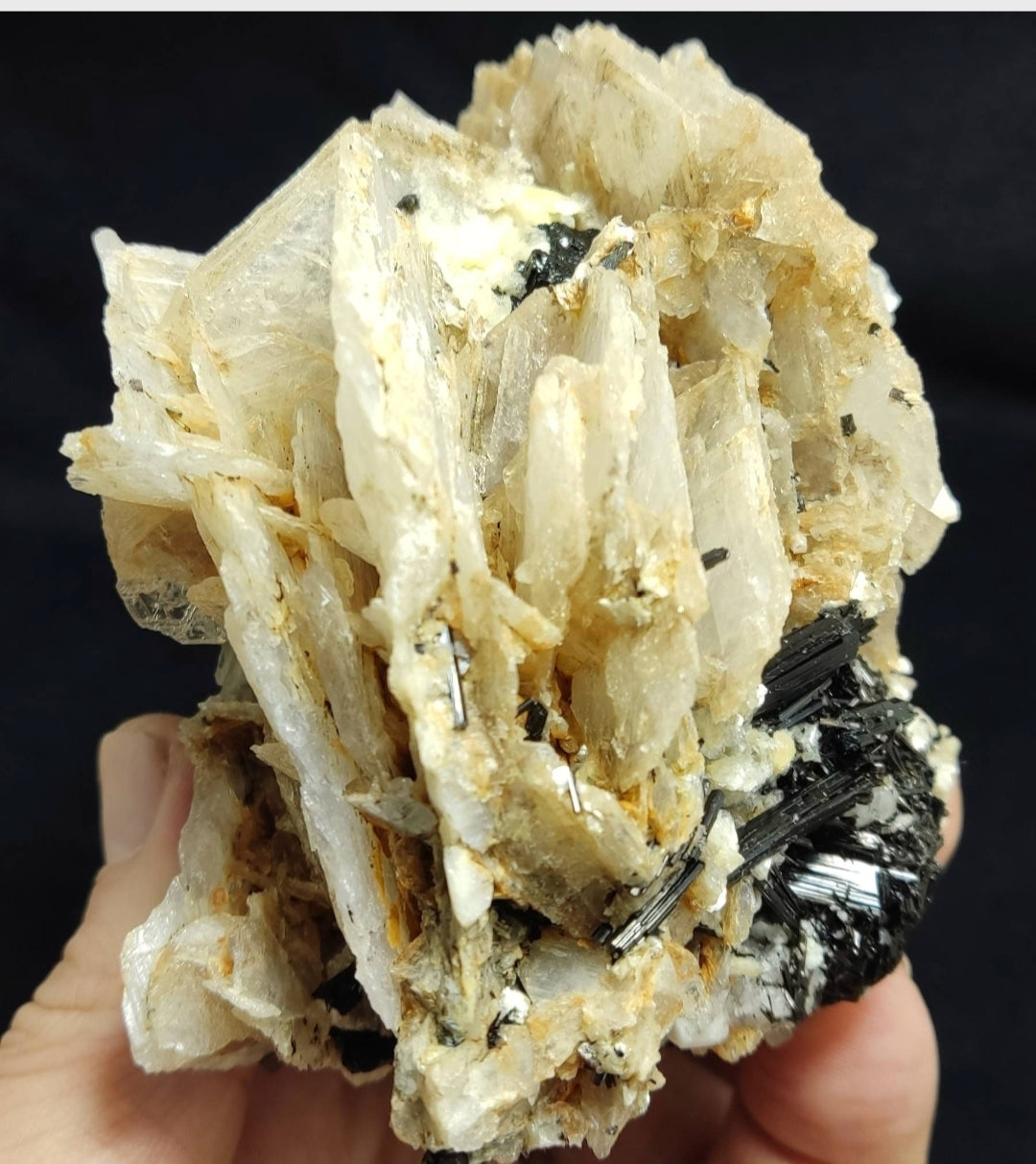 Terminated specimen of calcite with tourmaline 520 grams