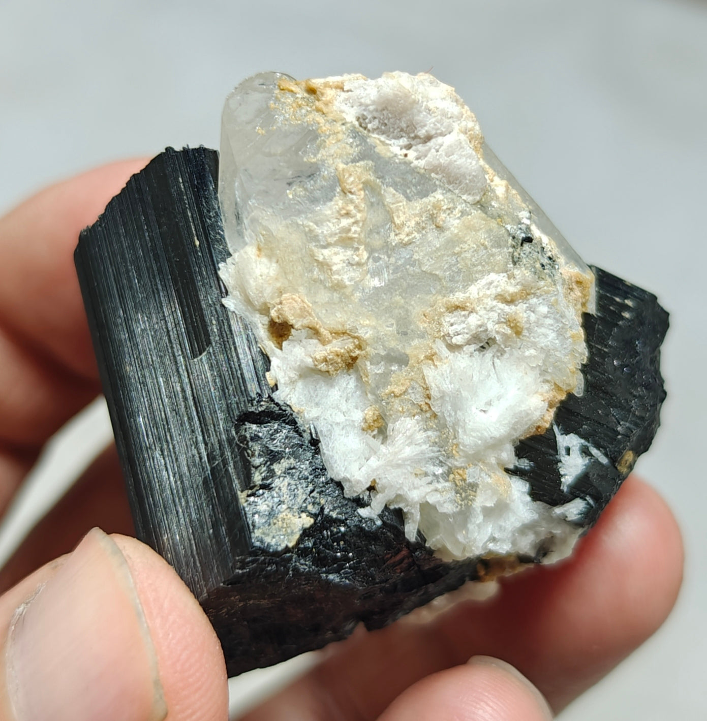 An Aesthetic Natural black Tourmaline crystal with terminated quartz crystals 85 grams
