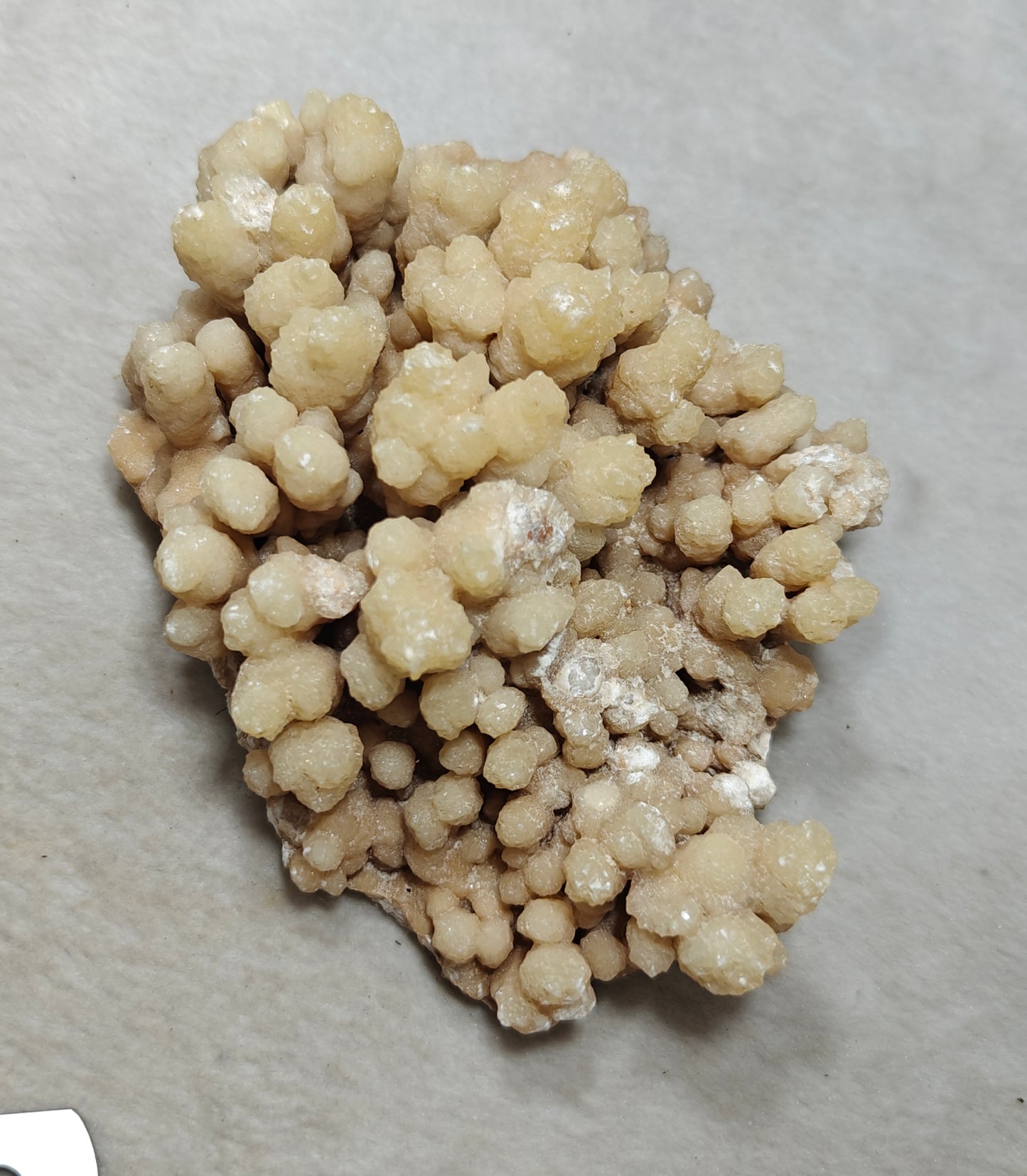 Natural aragonite crystals cluster flower shape 536 grams