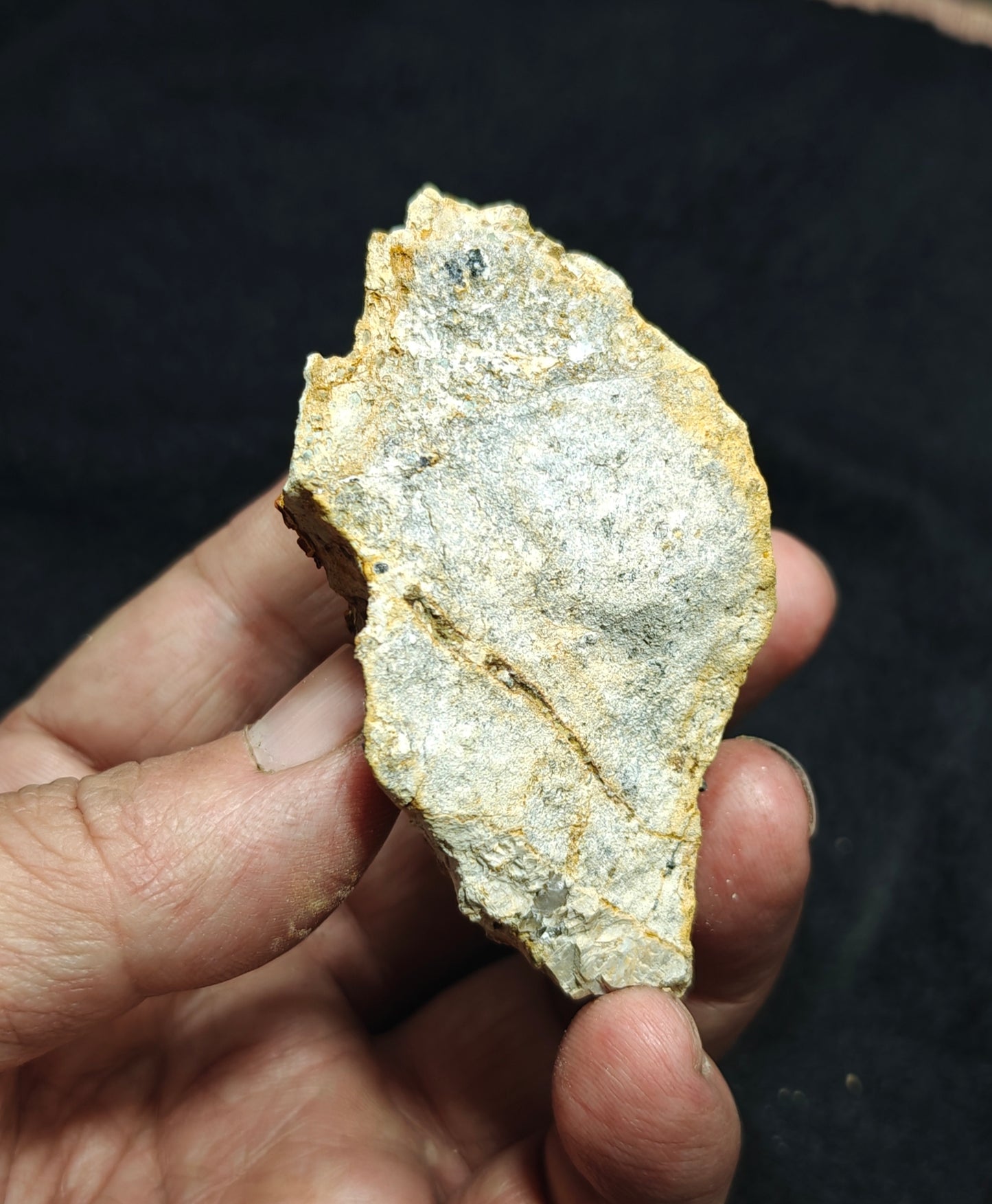 Anatase Crystals with chlorite quartz on matrix with possible pyrite cubes 128 grams