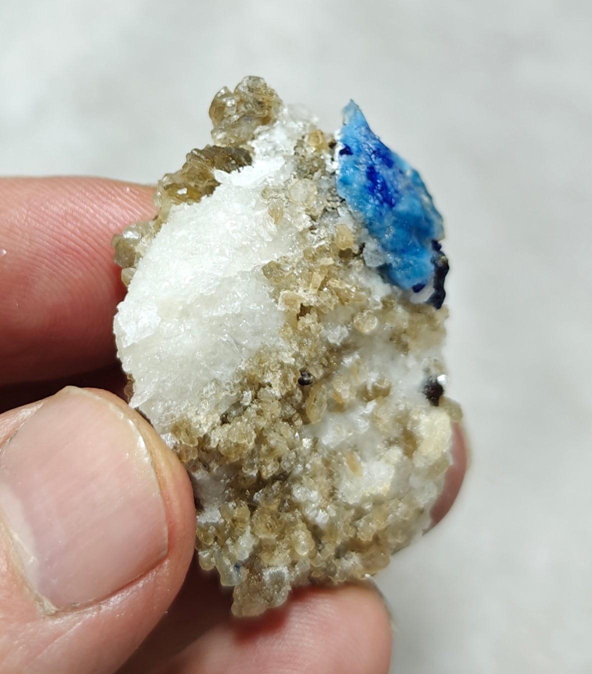 Afghanite Fluorescent in matrix with some pyrite and phlogopite 25 grams