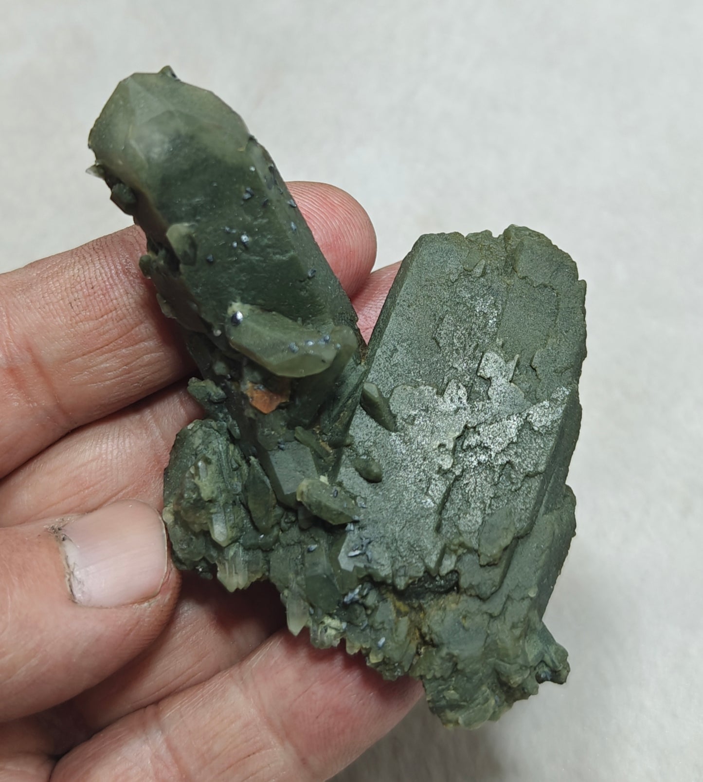 Small anatase crystals on Chlorite Quartz with small brookite 63 grams