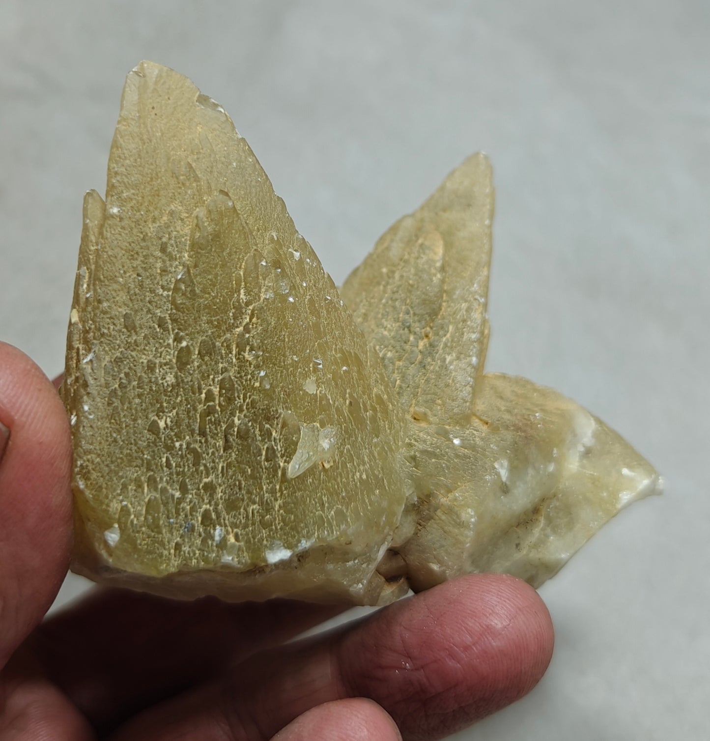 Dogteeth calcite crystals cluster with beautiful terminations 218 grams