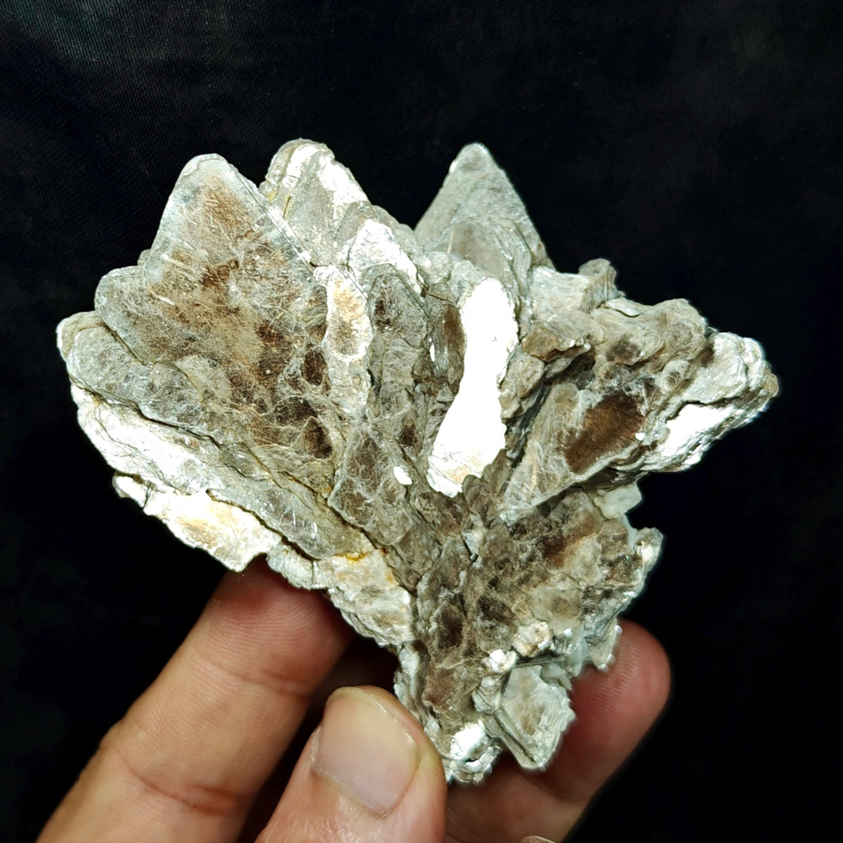 Natural spessartine garnet embedded in muscovite with albite 152 grams