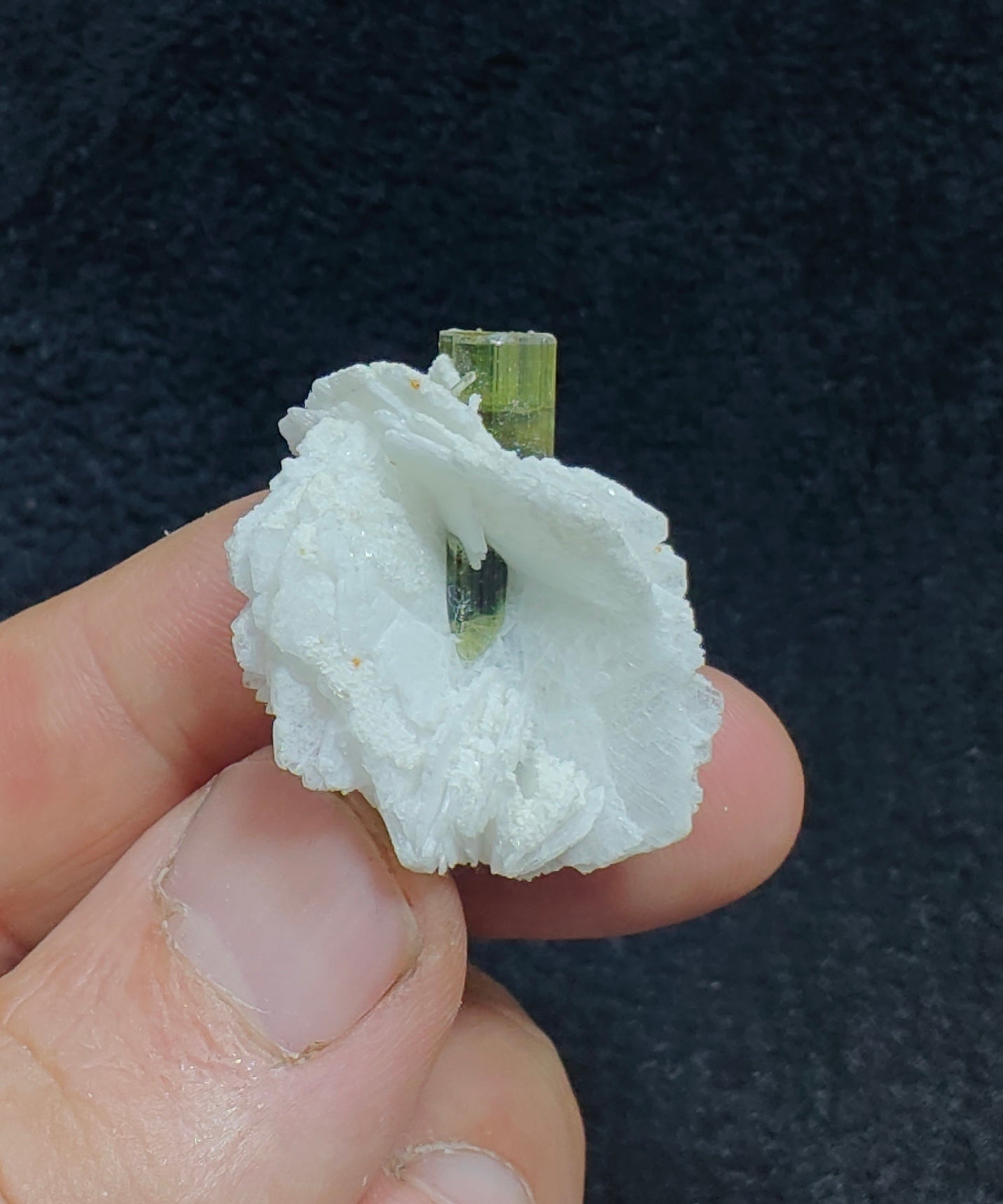 Greencap Tourmaline crystal with associated cleavelandite 10 grams