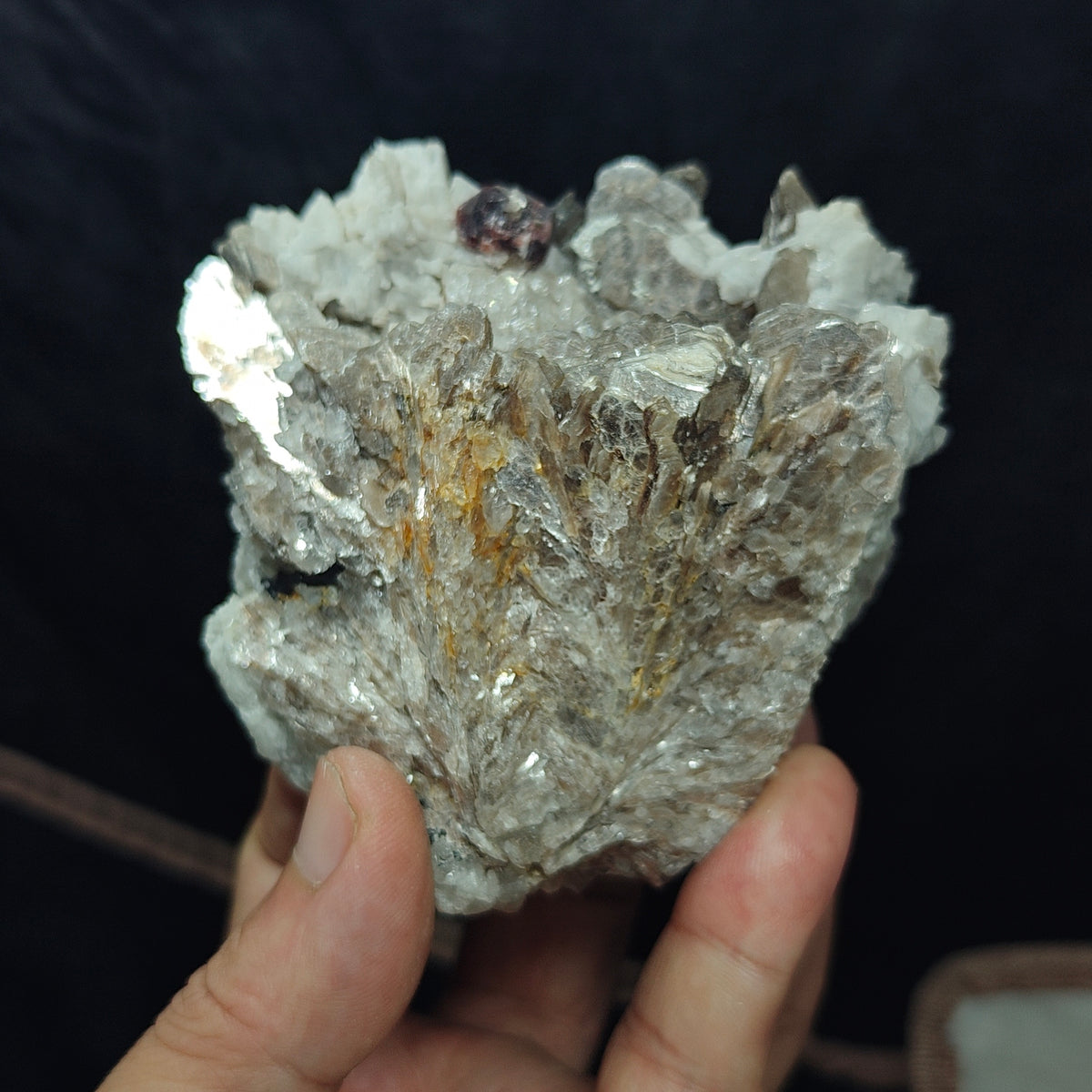 Natural spessartine garnet embedded in muscovite, with albite and quartz 544 grams