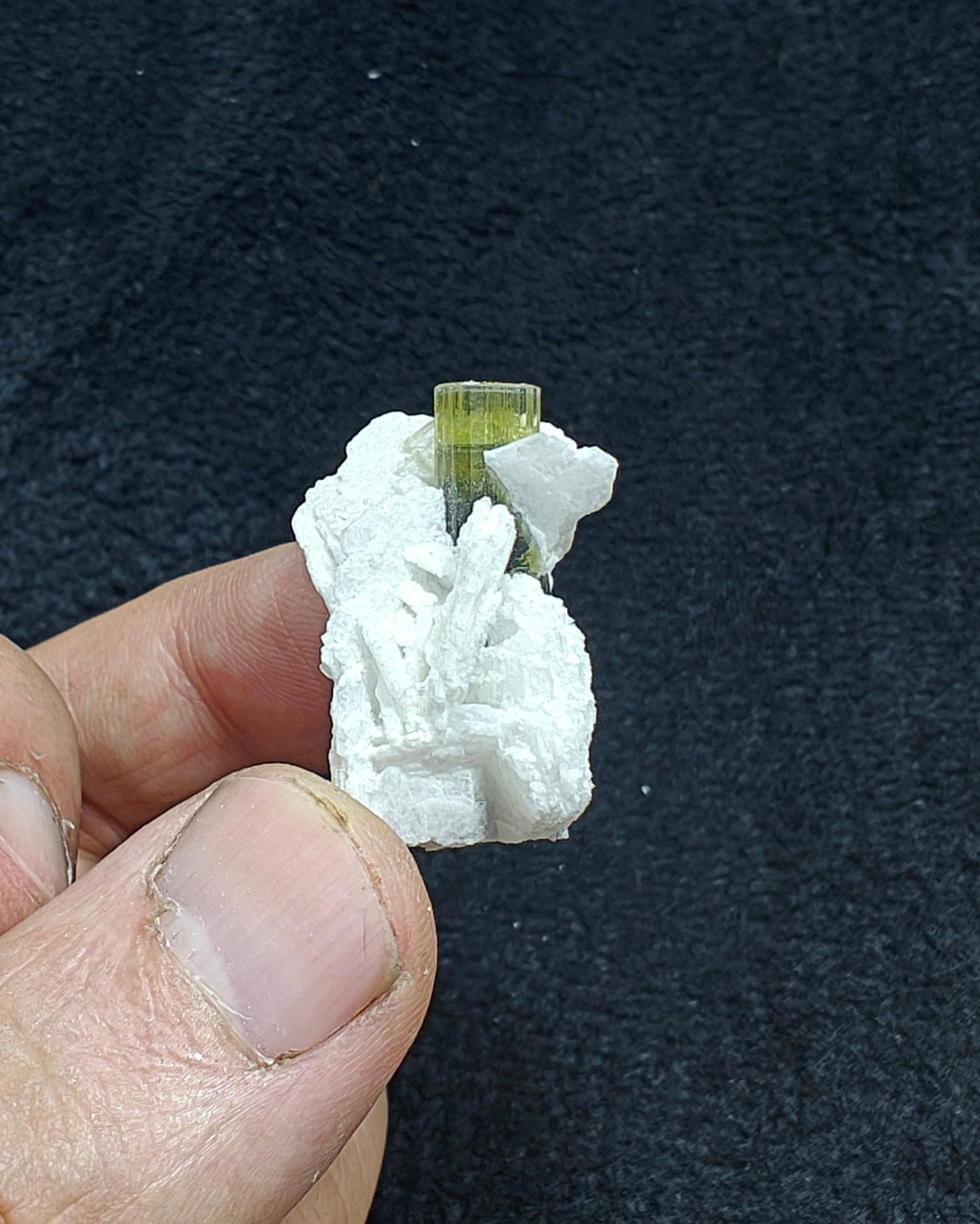 Greencap Tourmaline crystal with associated cleavelandite 10 grams