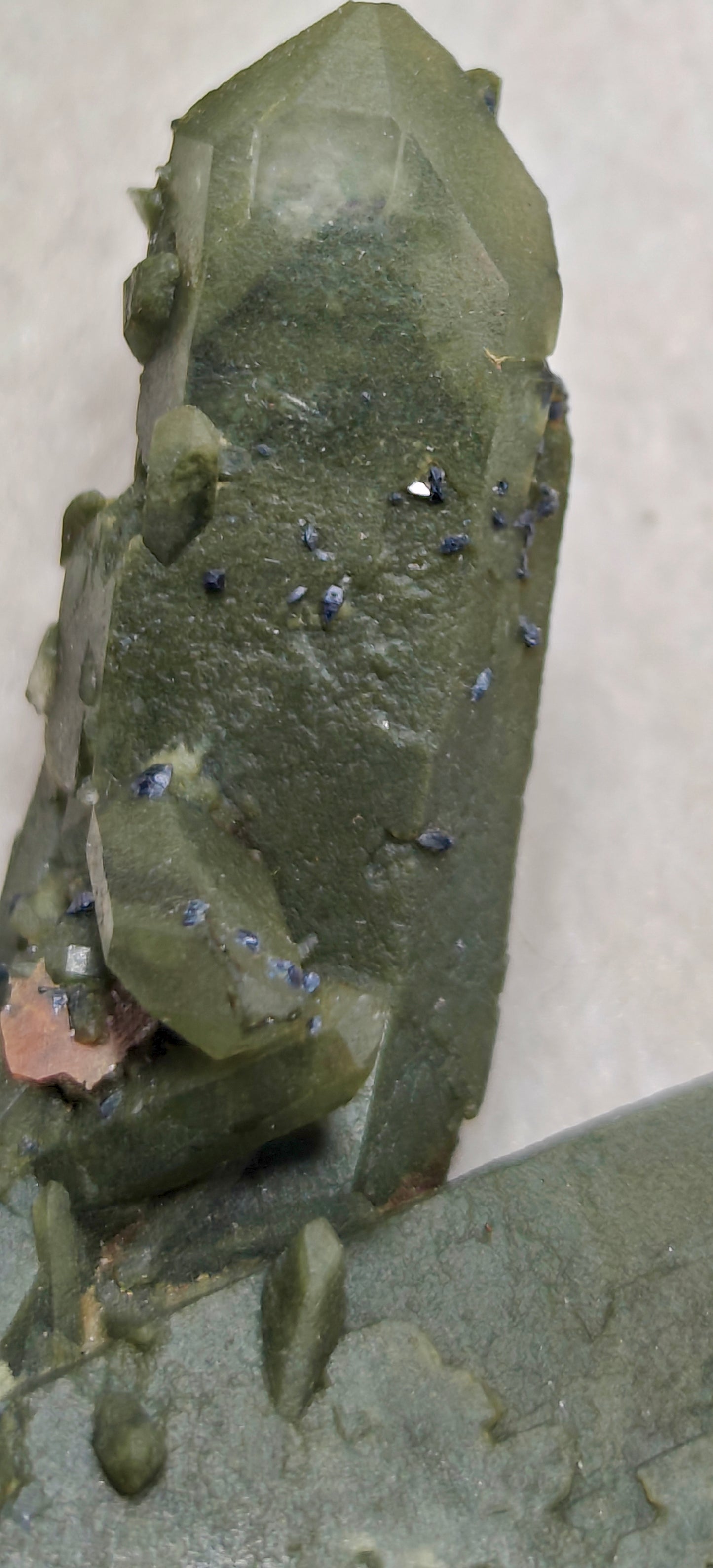 Small anatase crystals on Chlorite Quartz with small brookite 63 grams