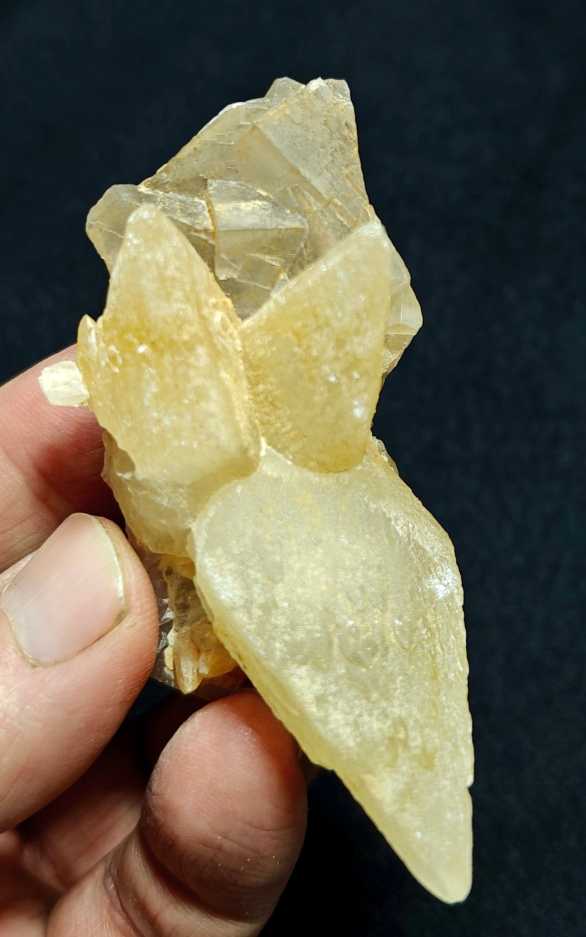Single beautiful Dogteeth calcite crystals cluster with beautiful terminations with Fluorite combinations 80 grams
