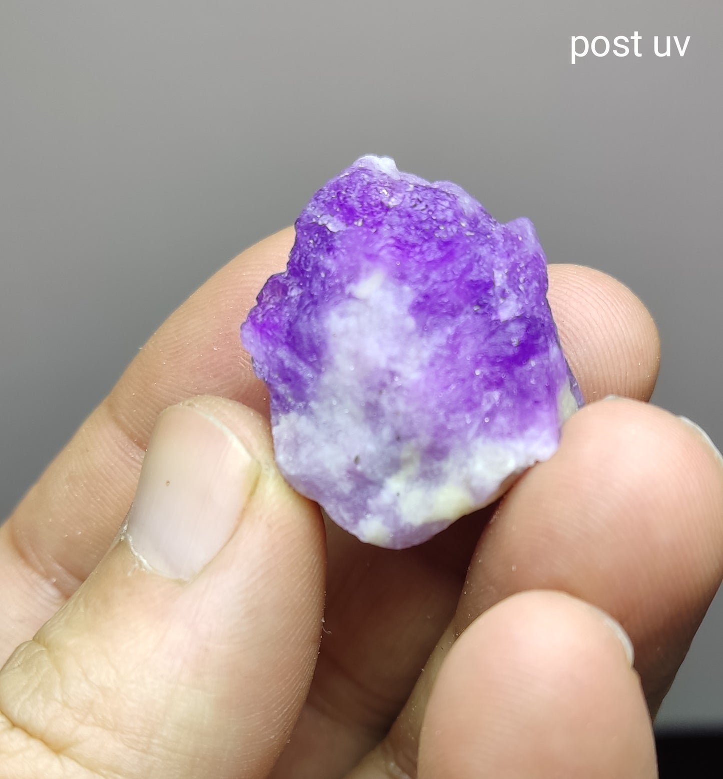 An amazing specimen hackmanite on matrix highly Tenebrescent 14 grams