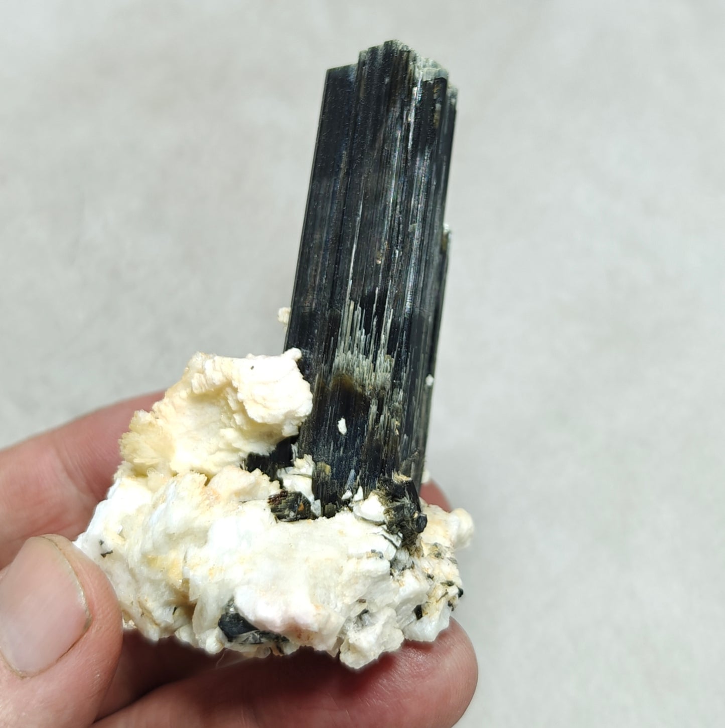 Tourmaline crystals on matrix with Albite attachment self standing 89 grams