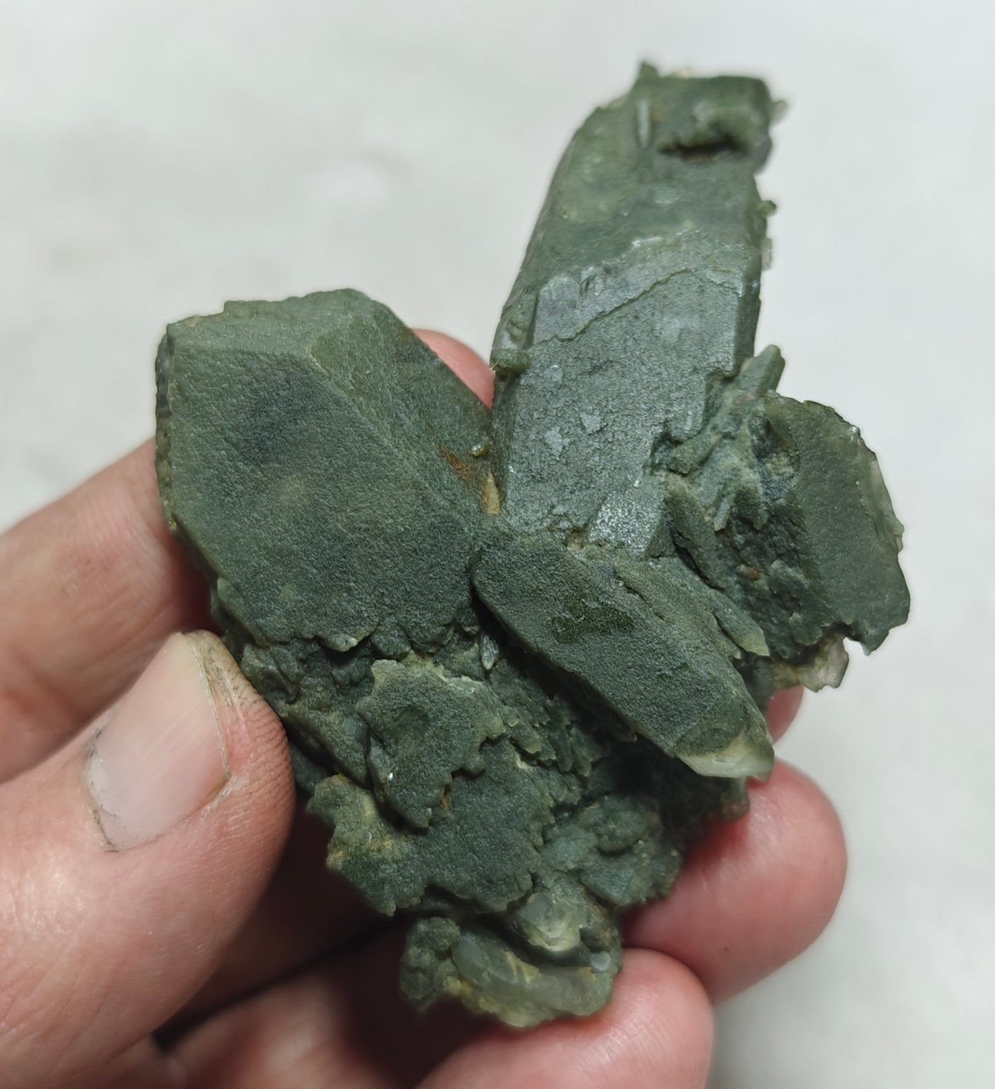 Small anatase crystals on Chlorite Quartz with small brookite 63 grams