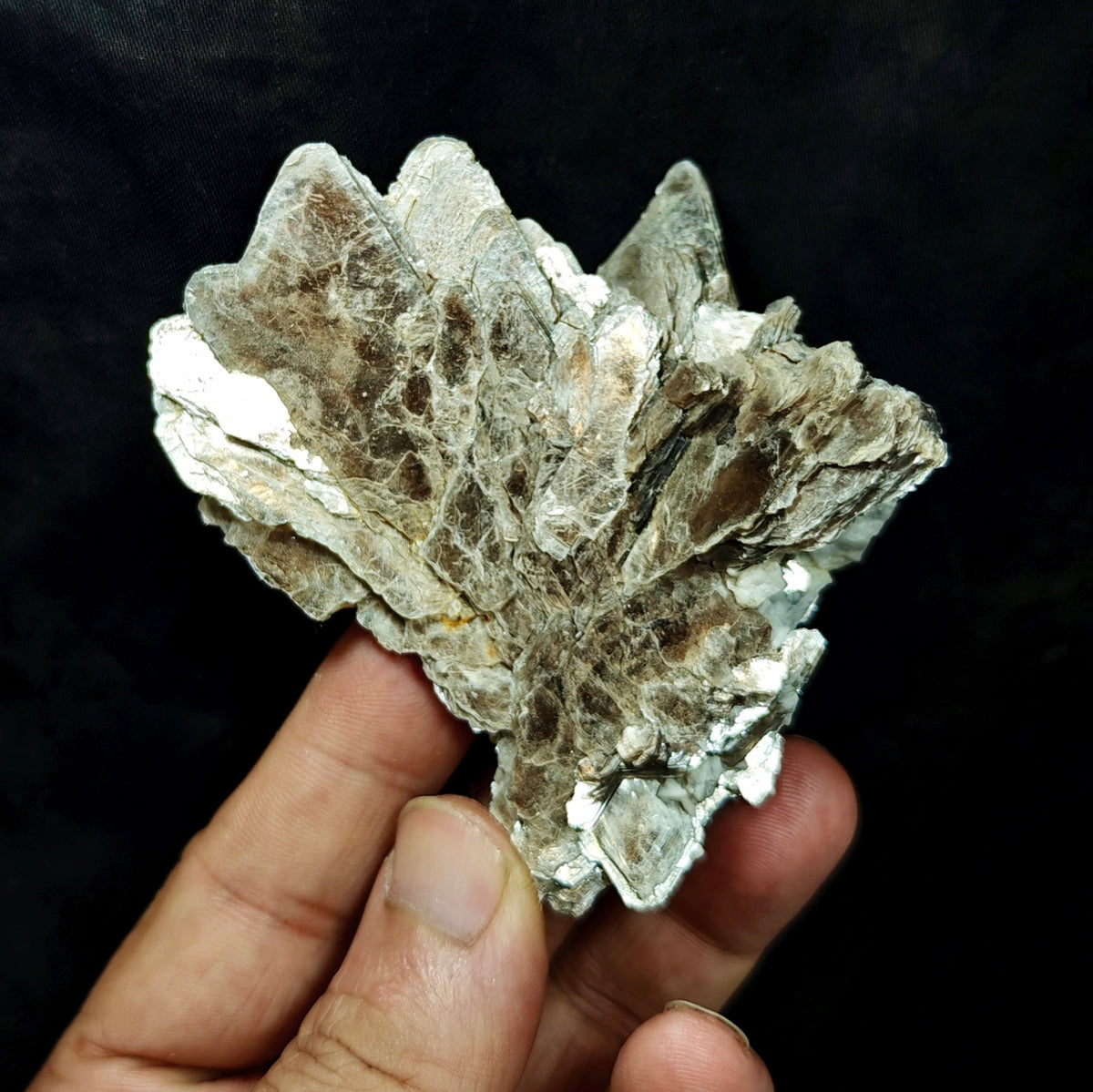 Natural spessartine garnet embedded in muscovite with albite 152 grams