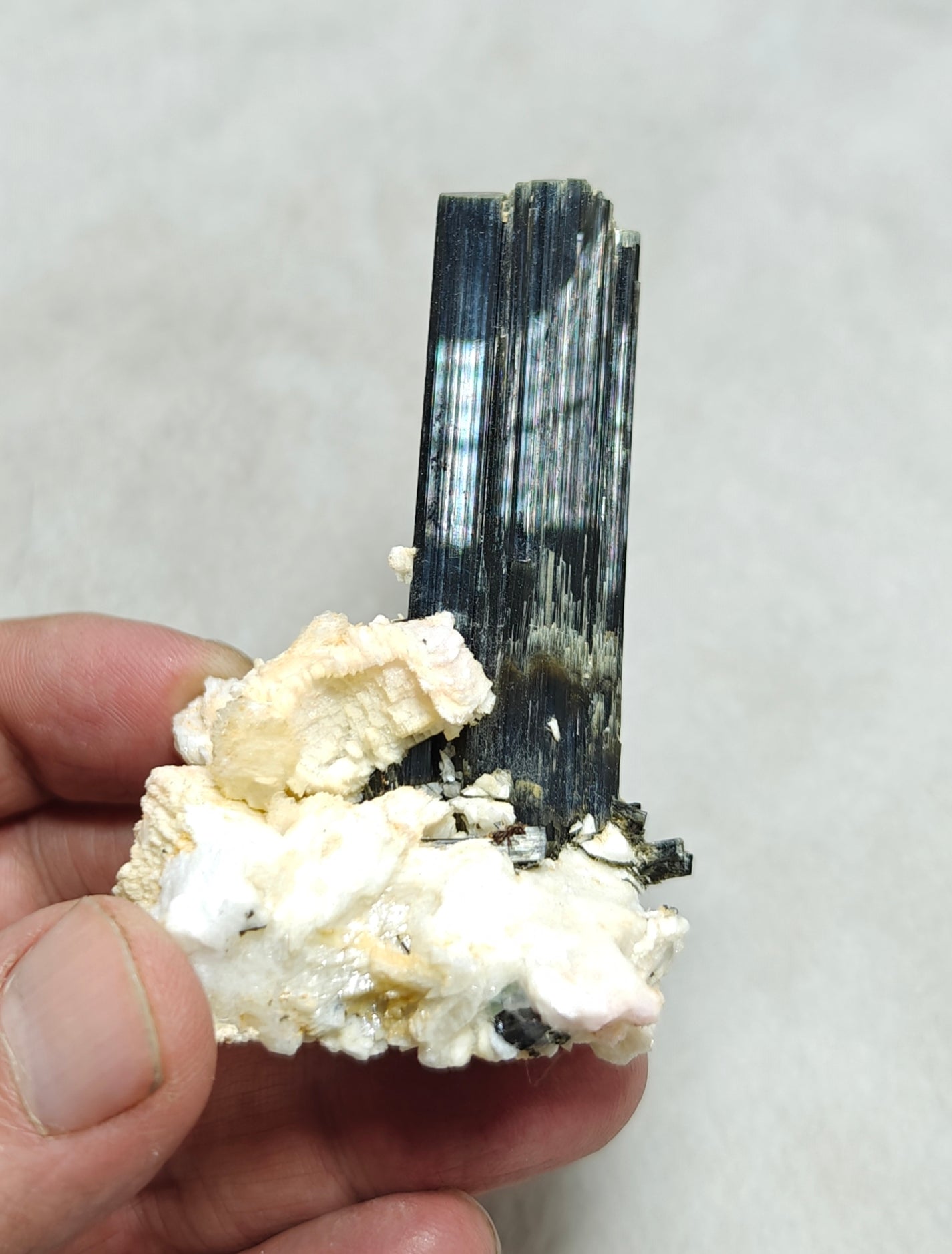 Tourmaline crystals on matrix with Albite attachment self standing 89 grams