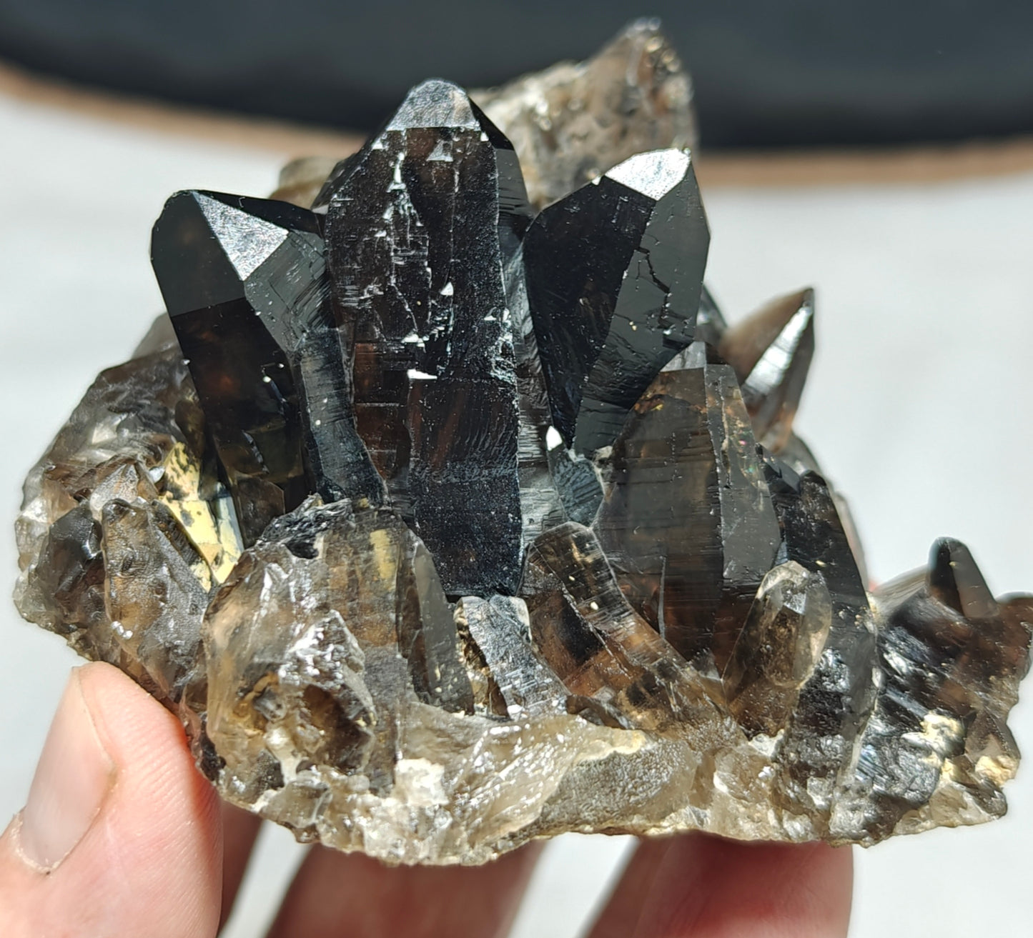 Natural smoky quartz cluster 296 grams