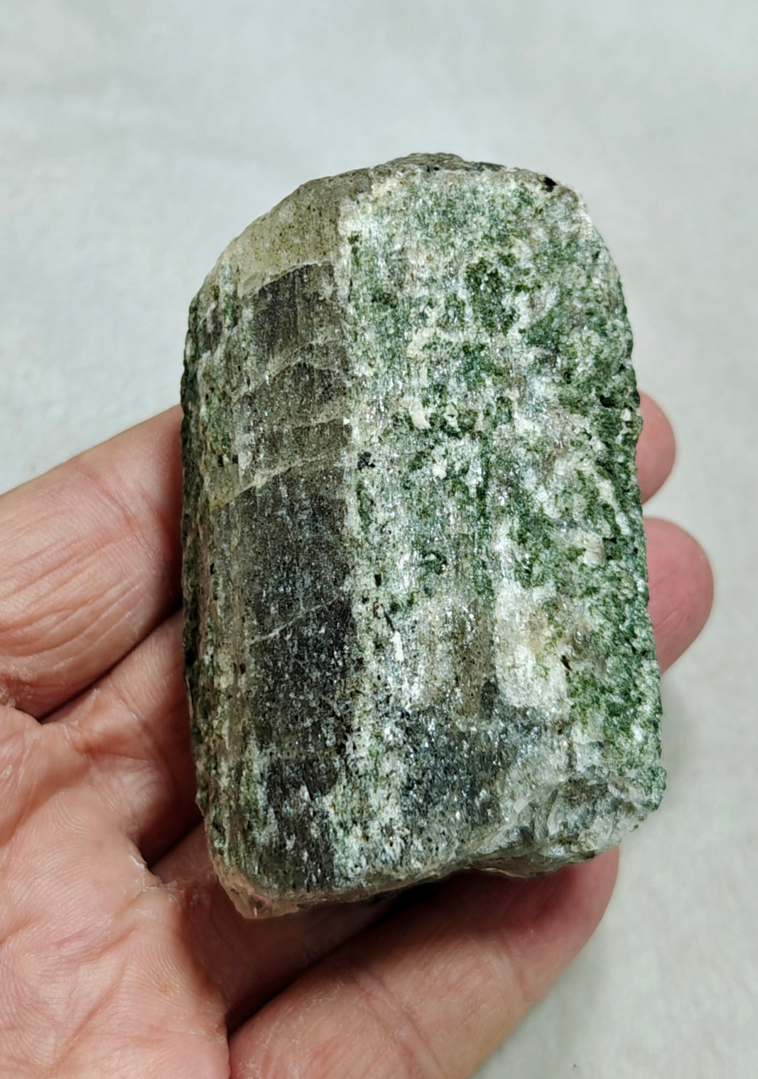 Scapolite crystal with associated epidote 253 grams
