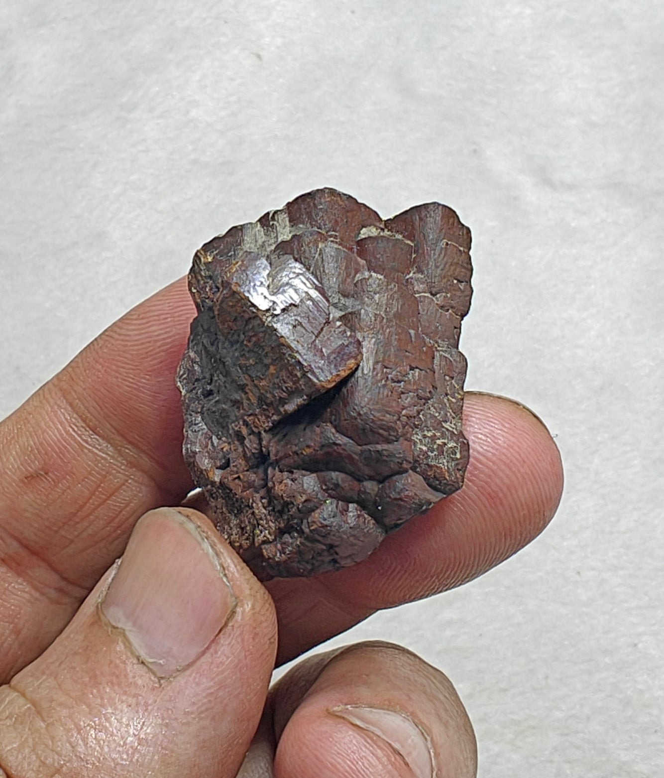Natural siderite crystal 18 grams
