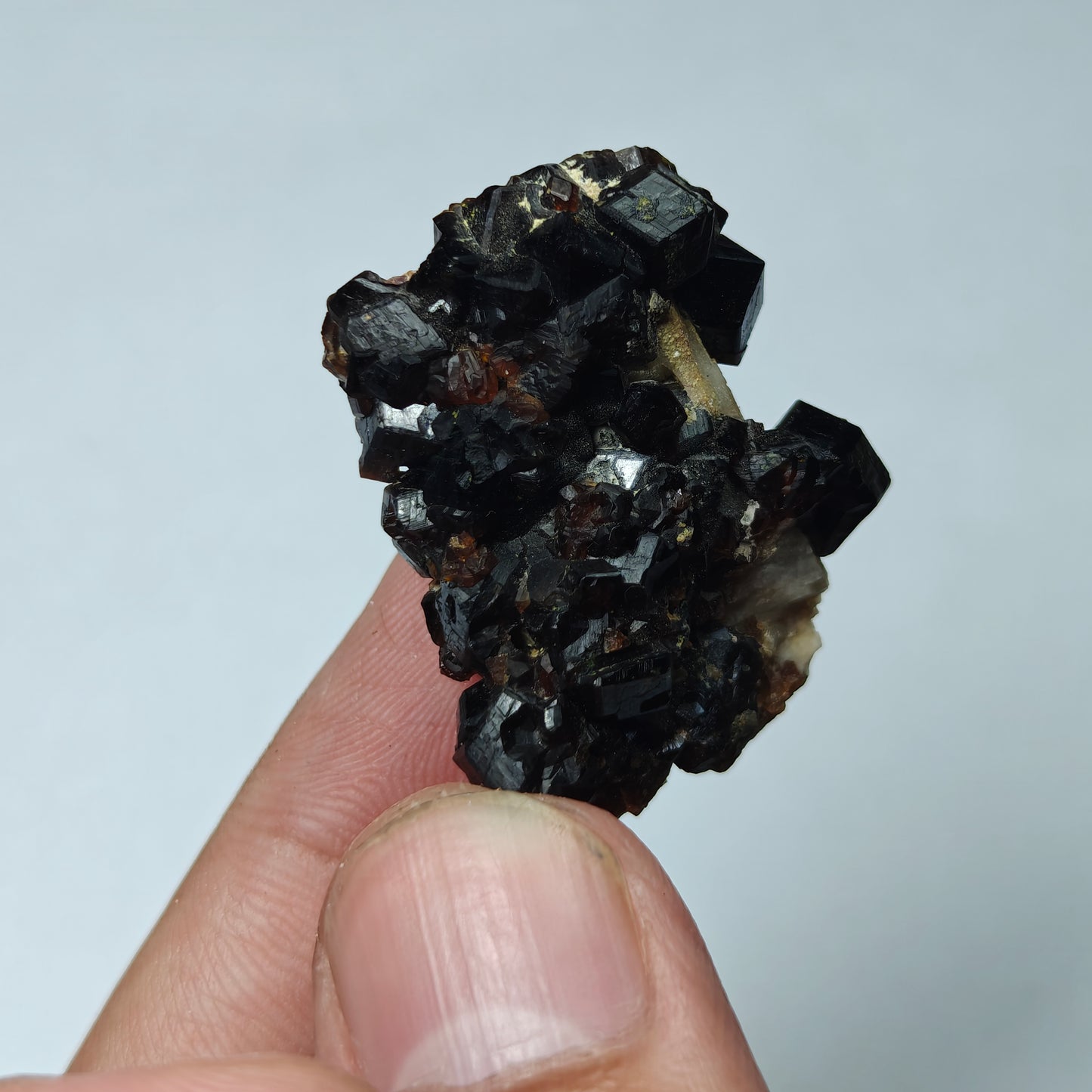 Natural thumbnail Andradite garnet cluster 16 grams