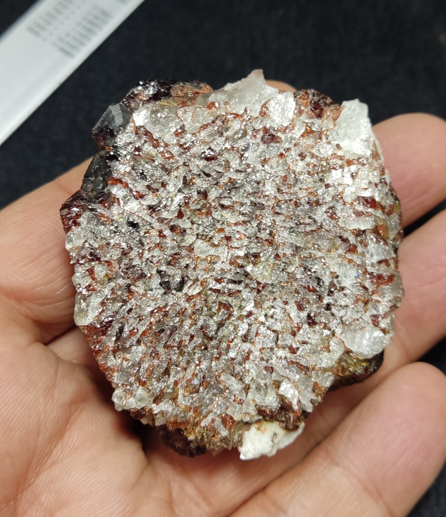 Natural Garnets Specimen variety spessartine/almandine 115 grams