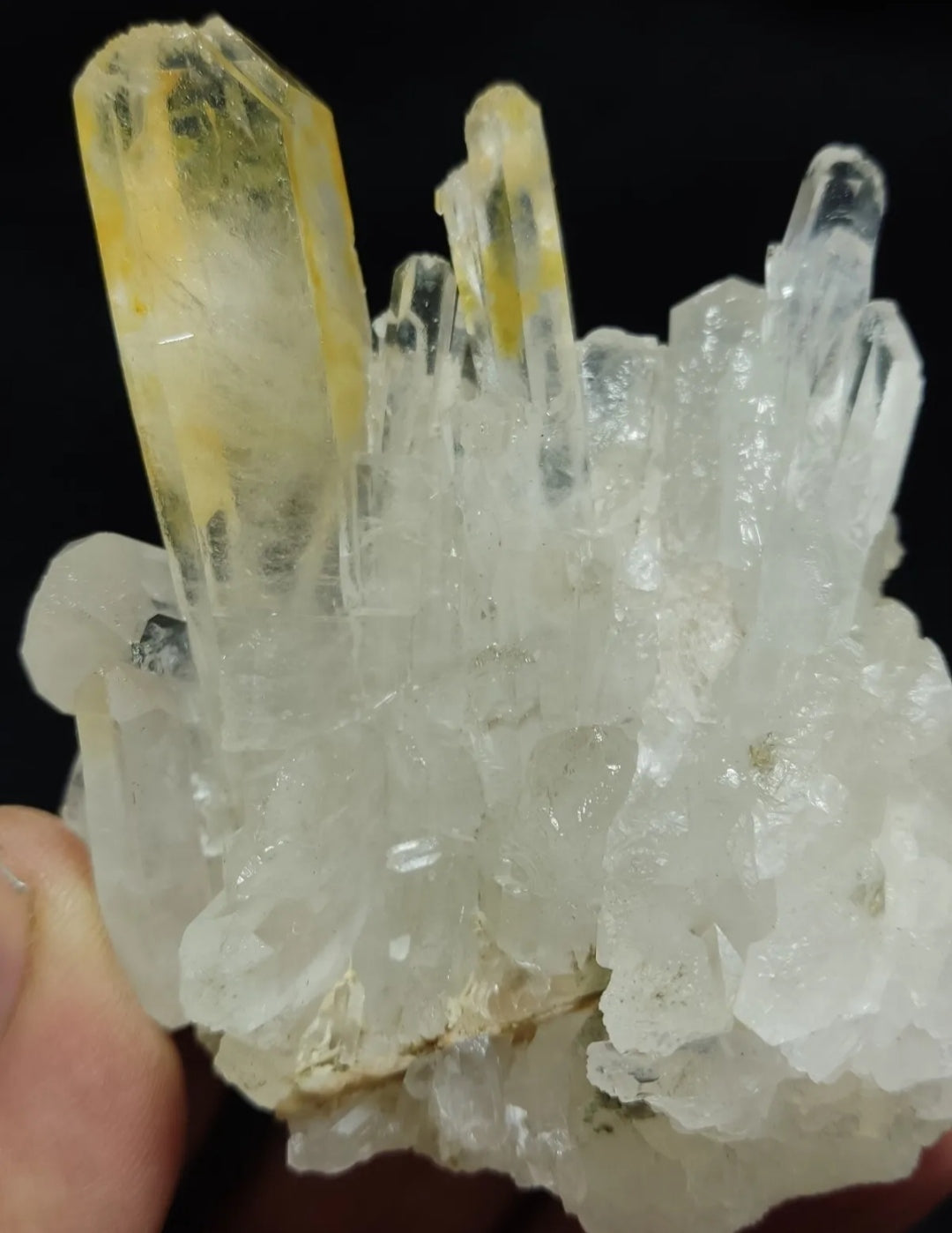 An Aesthetic Natural beautifully terminated yellow tips Quartz cluster 168 grams