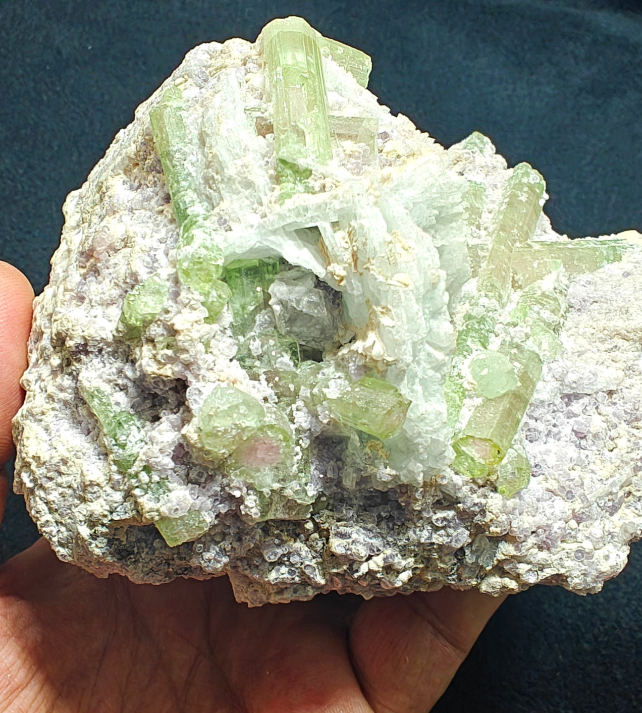 Bicolor Tourmalines crystals on matrix with lepidolite 1105 grams