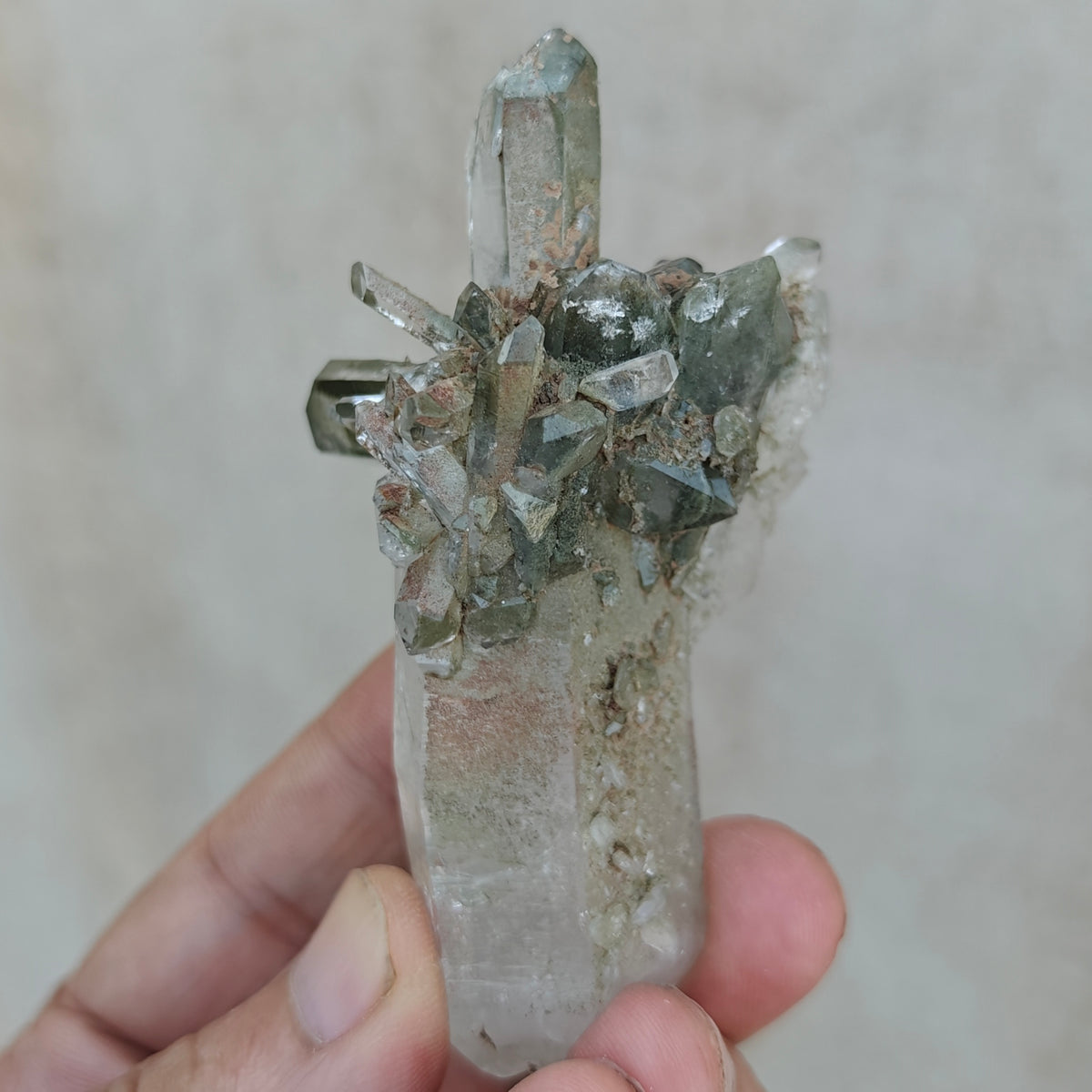 Natural Chlorite Quartz crystals cluster 104 grams