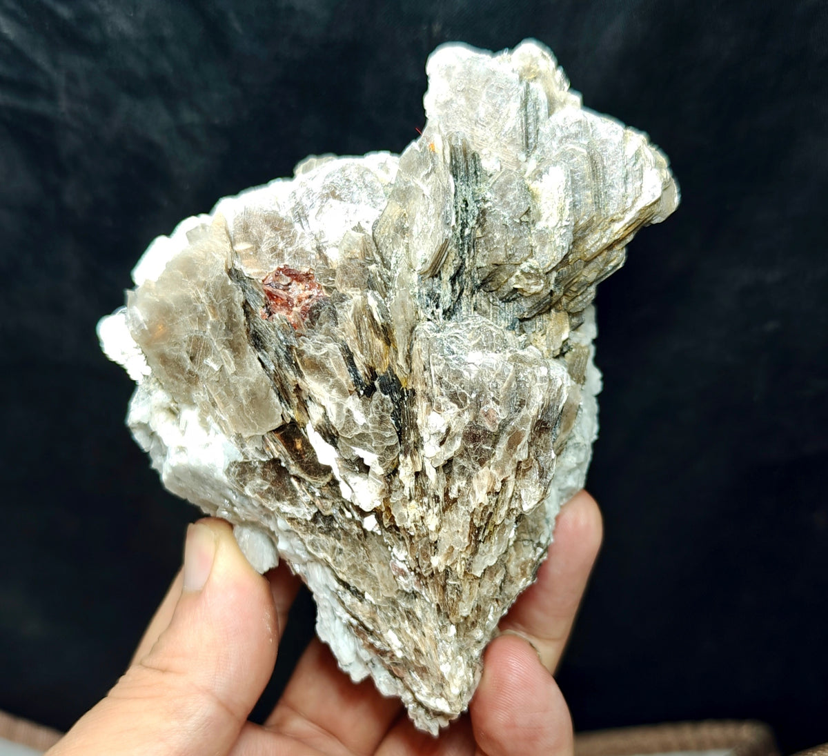 Natural spessartine garnet embedded in muscovite and albite 433 grams
