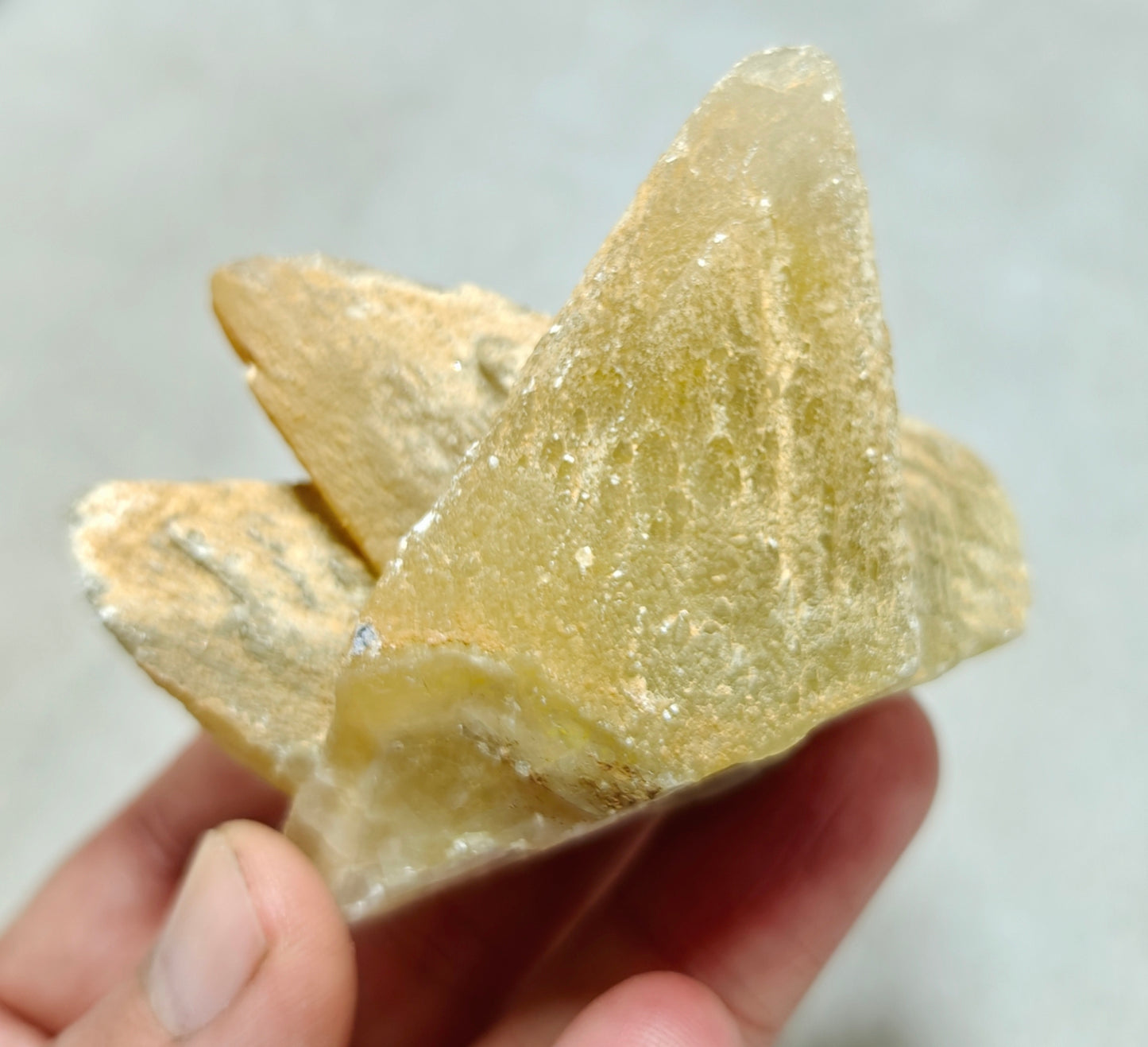 Single beautiful Dogteeth calcite crystals cluster with beautiful terminations 154 grams