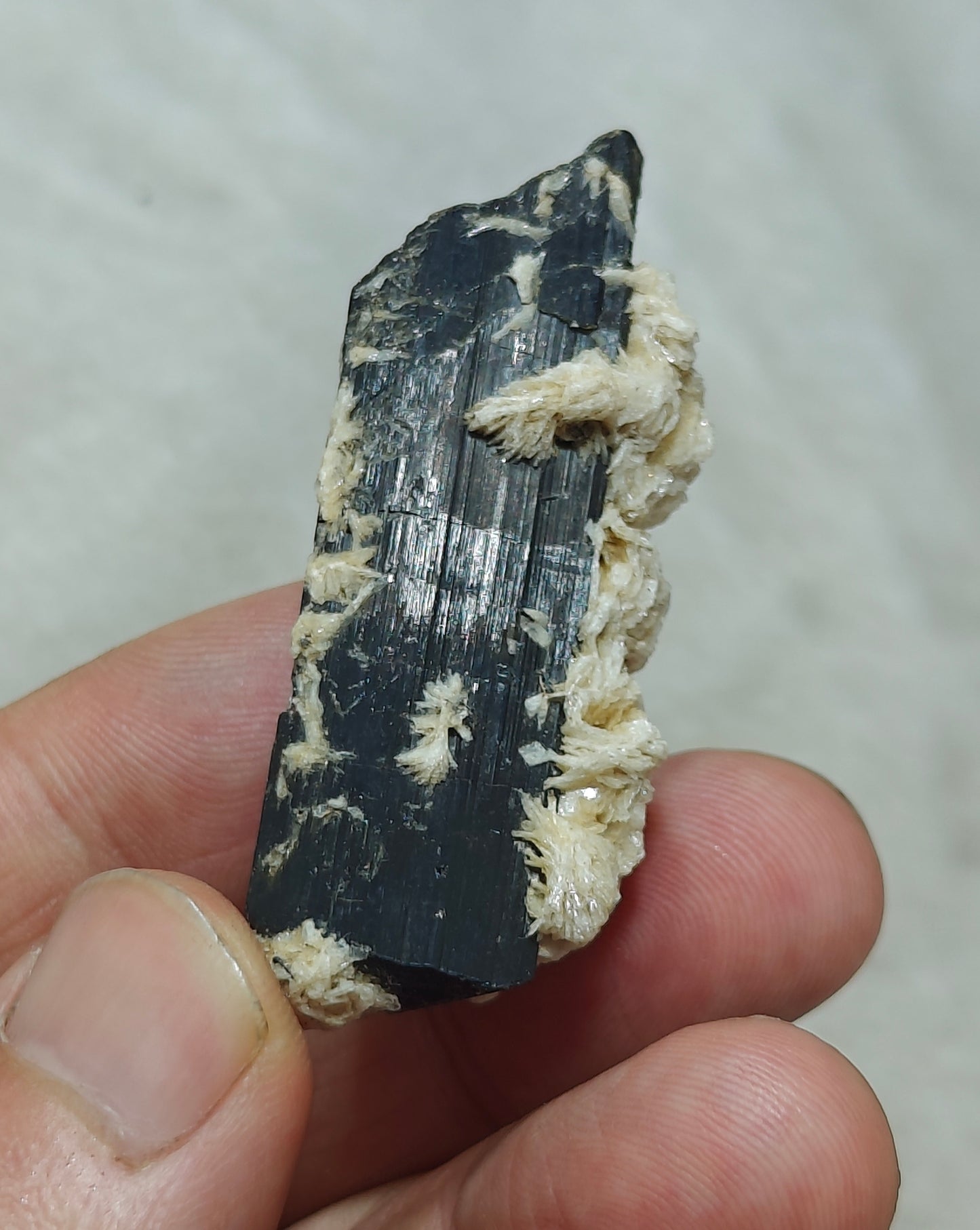 Natural Tourmaline crystal with associated Albite 30 grams
