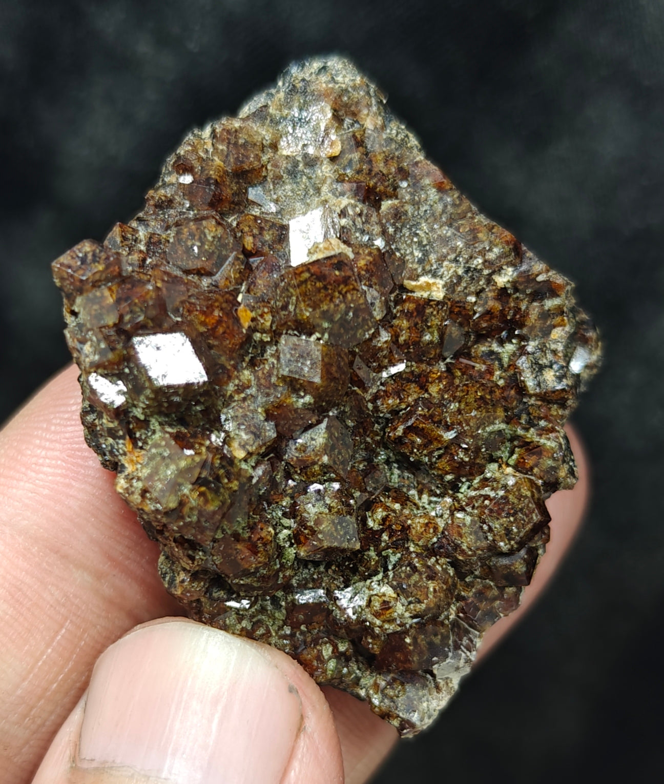 Single beautiful Garnet variety andradite clusters specimen 46 grams